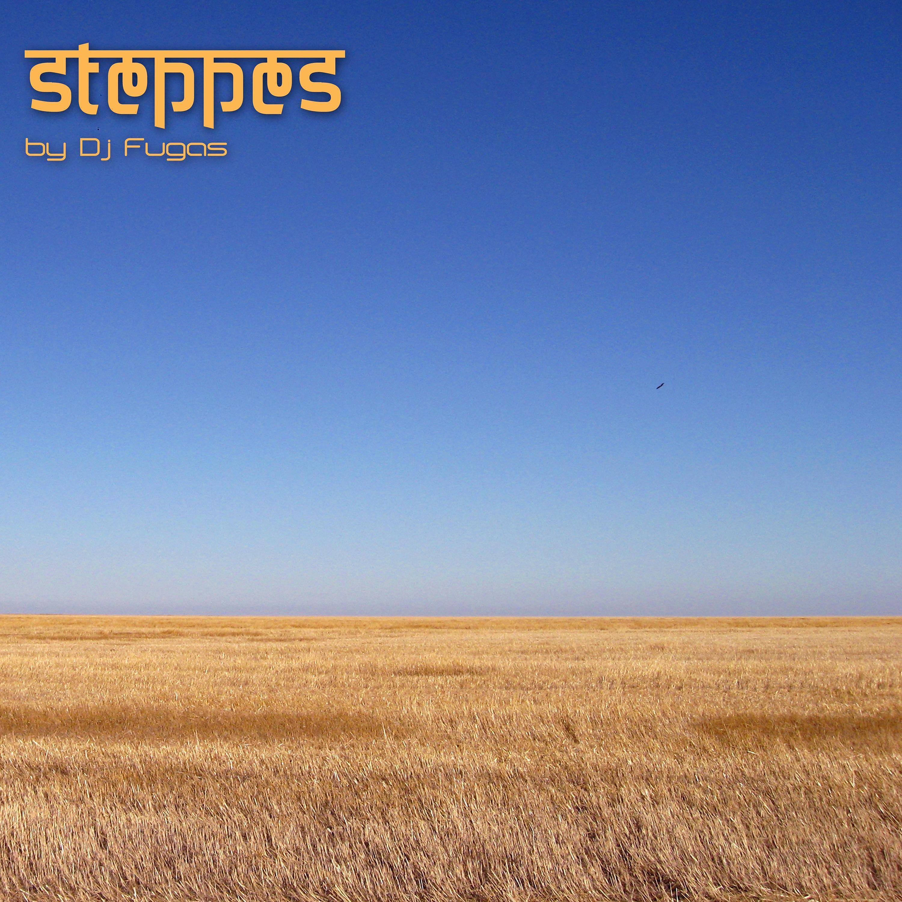 Постер альбома Steppes