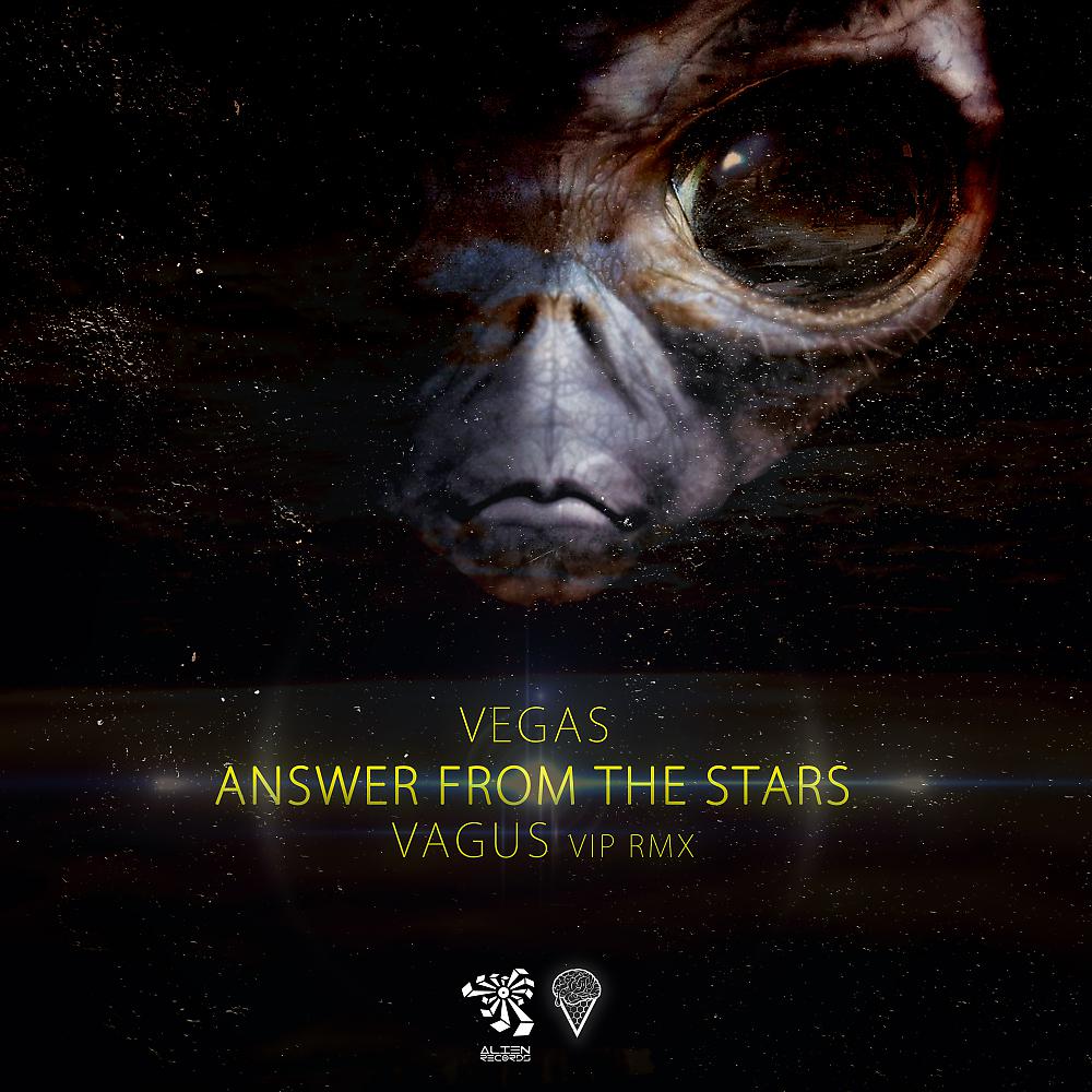 Постер альбома Answer From The Stars (Vagus Vip Remix)