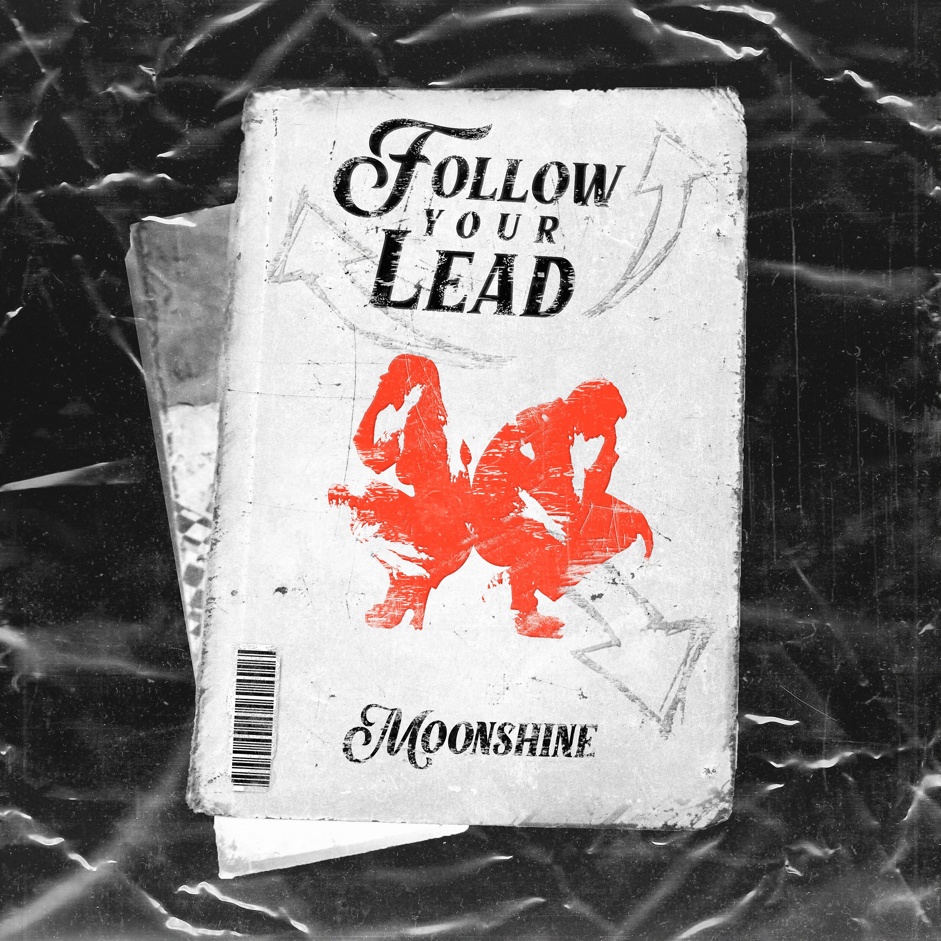 Постер альбома Follow Your Lead