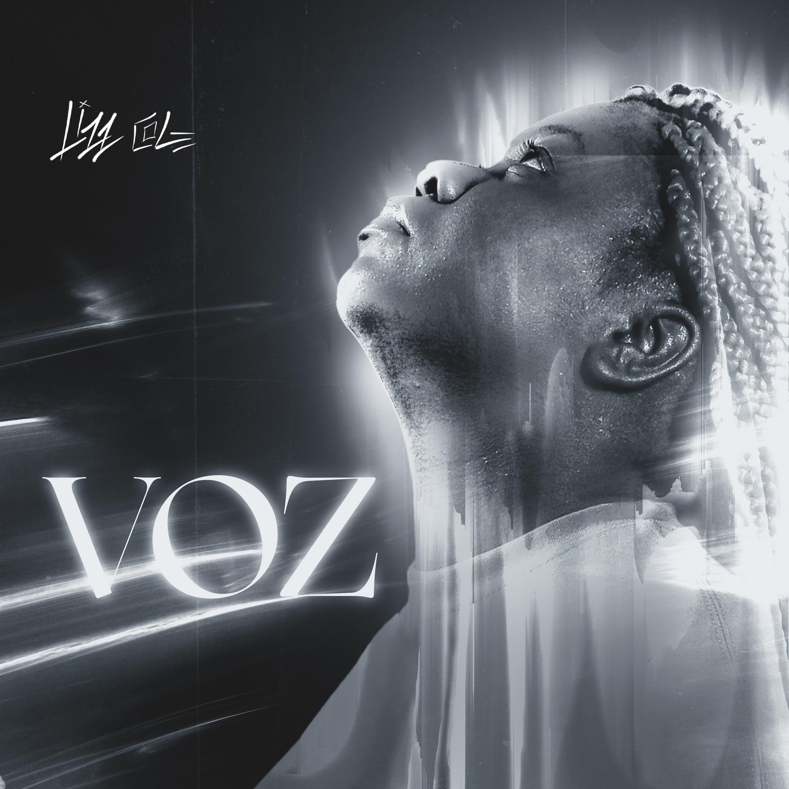 Постер альбома Voz