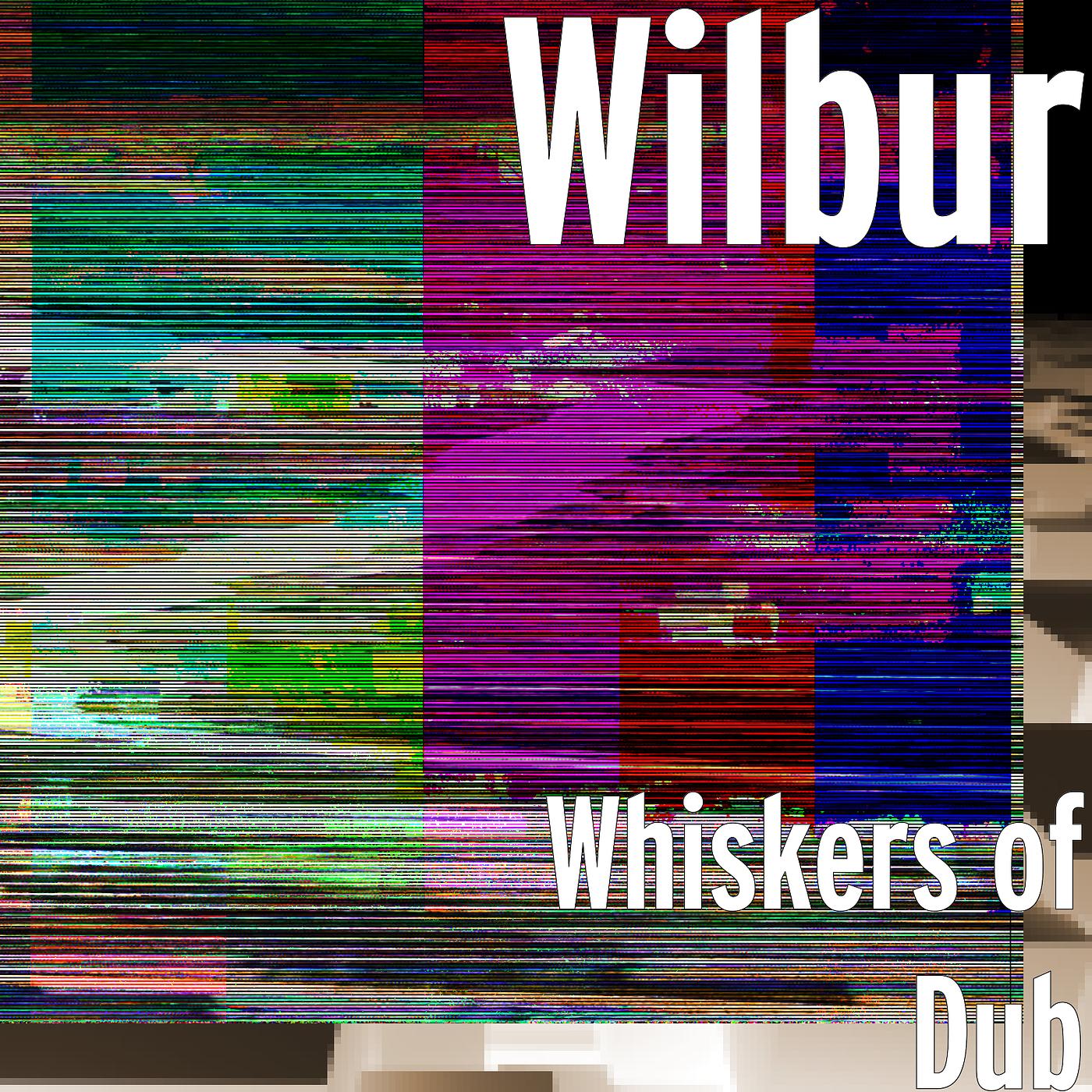 Постер альбома Whiskers of Dub
