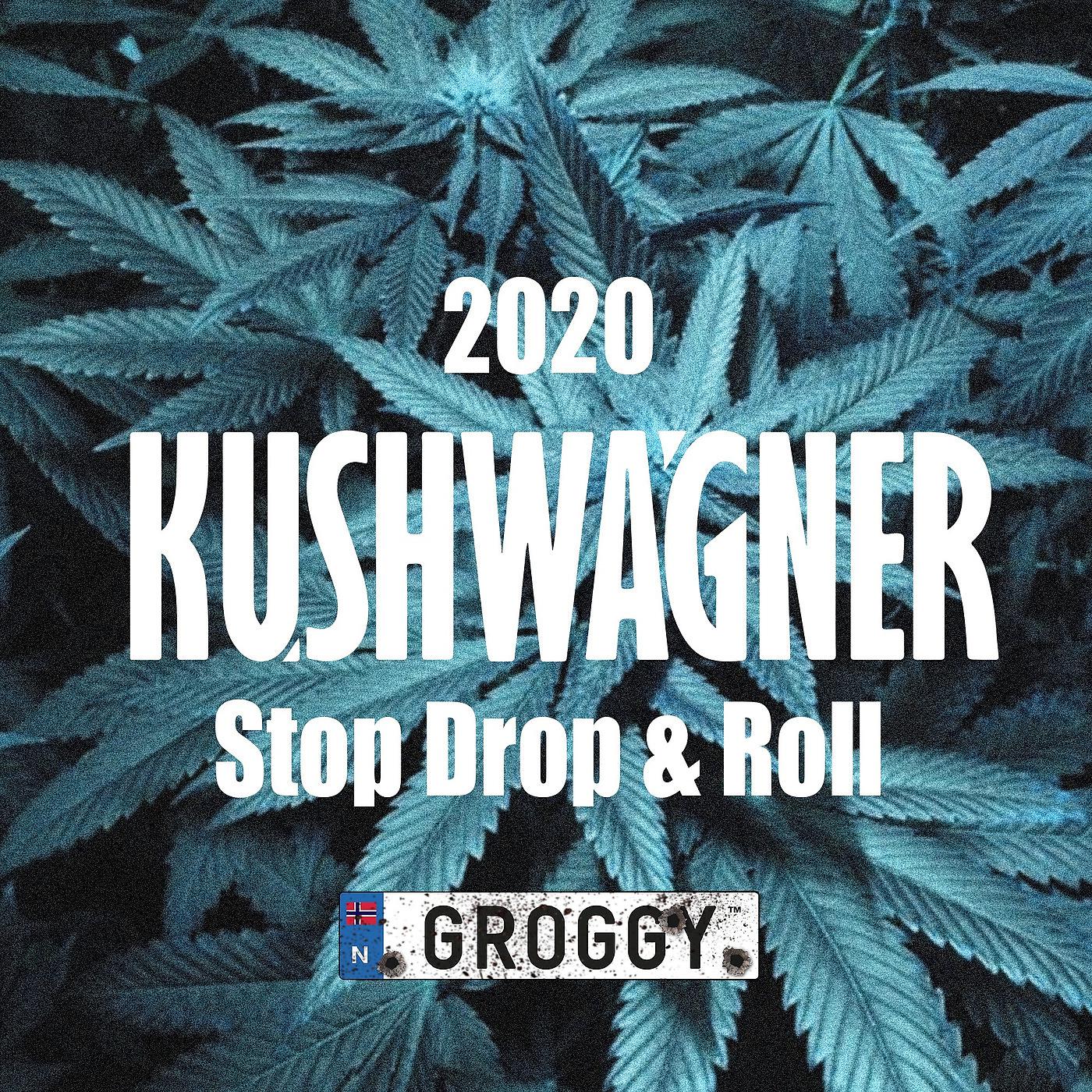 Постер альбома Stop Drop & Roll 2020