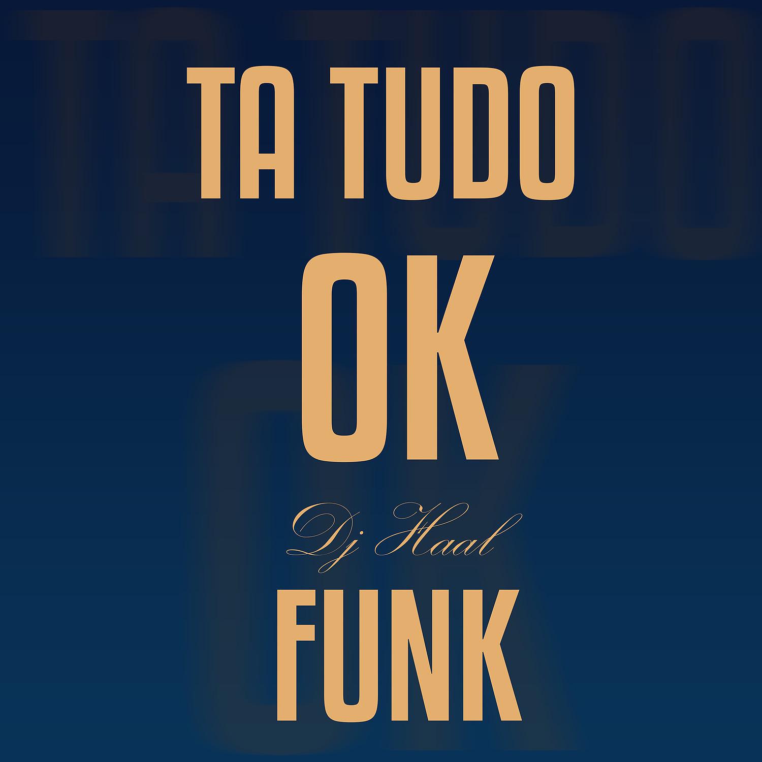 Постер альбома Ta Tudo Ok Funk