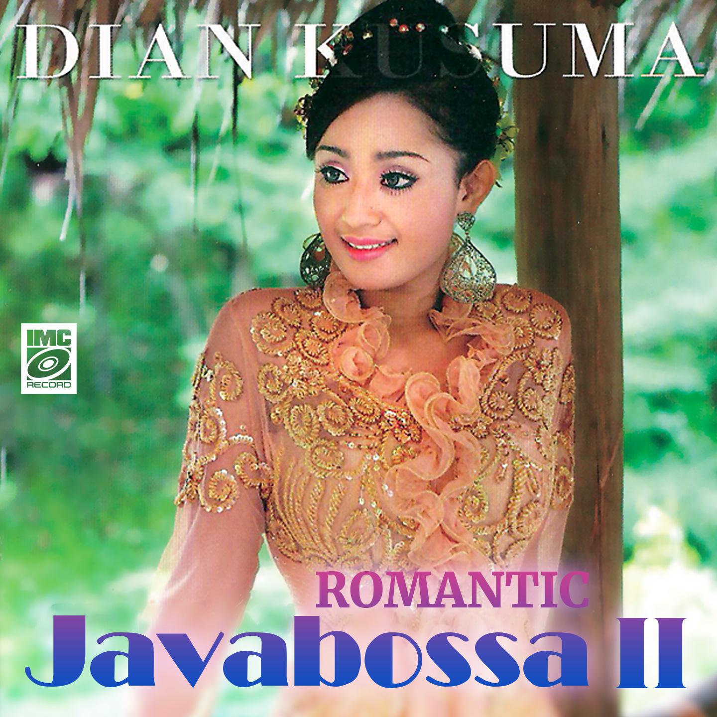 Постер альбома Romantic JavaBossa II
