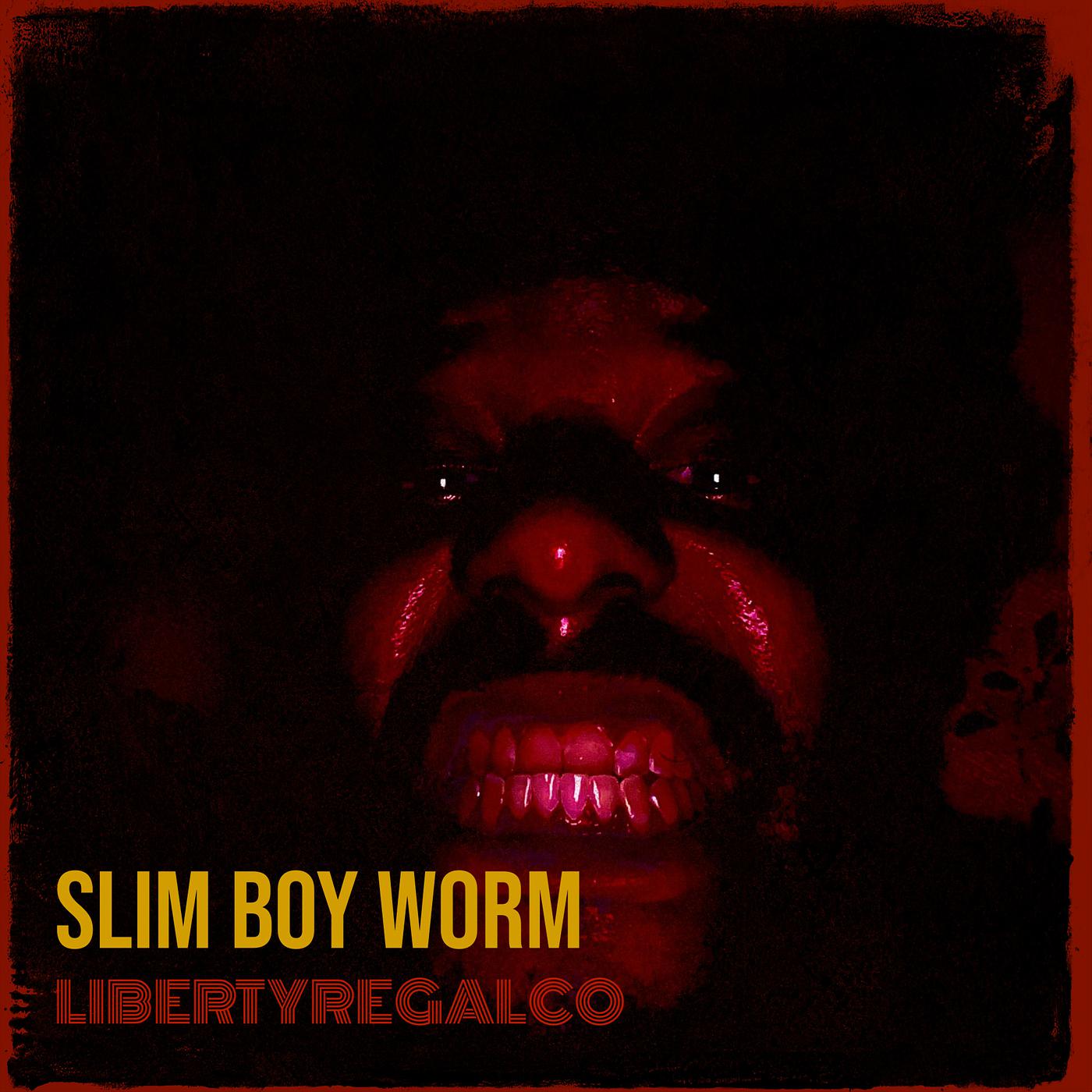 Постер альбома Slim Boy Worm