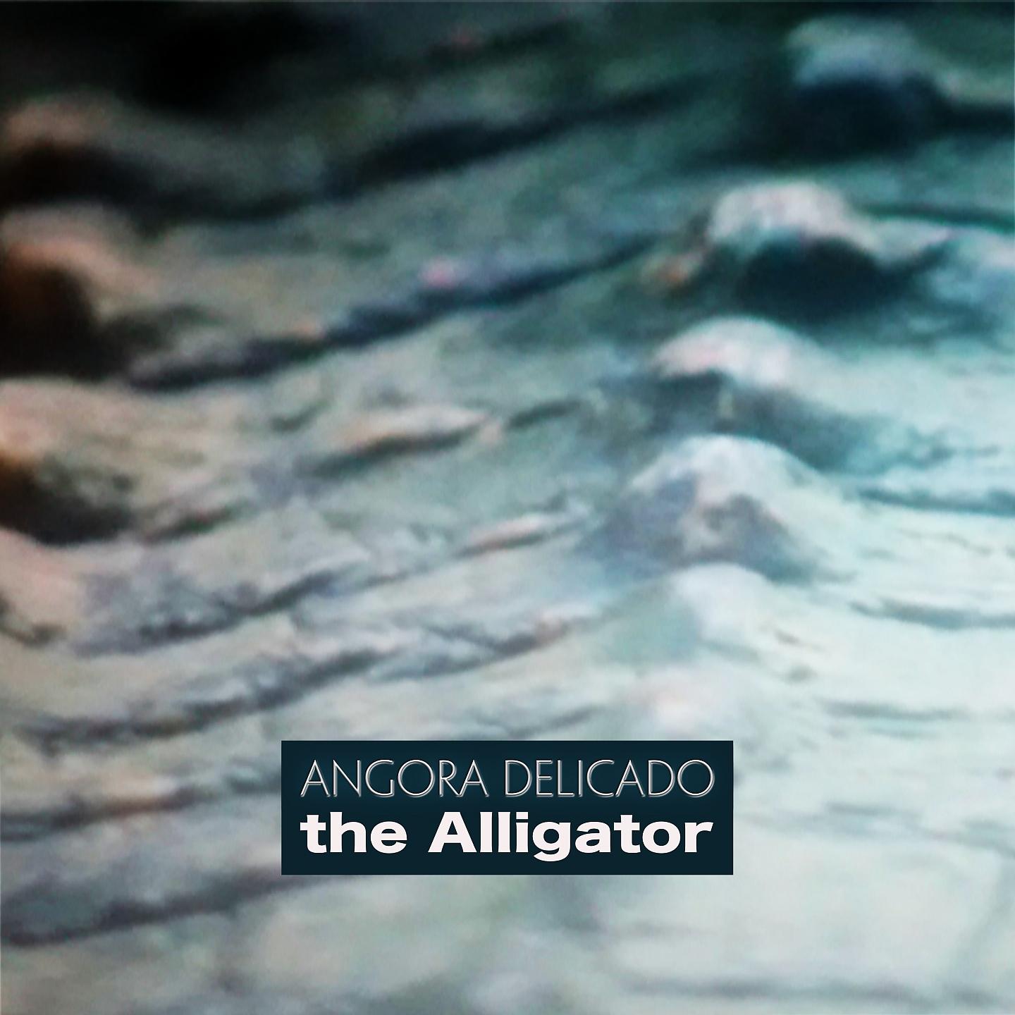 Постер альбома The Alligator