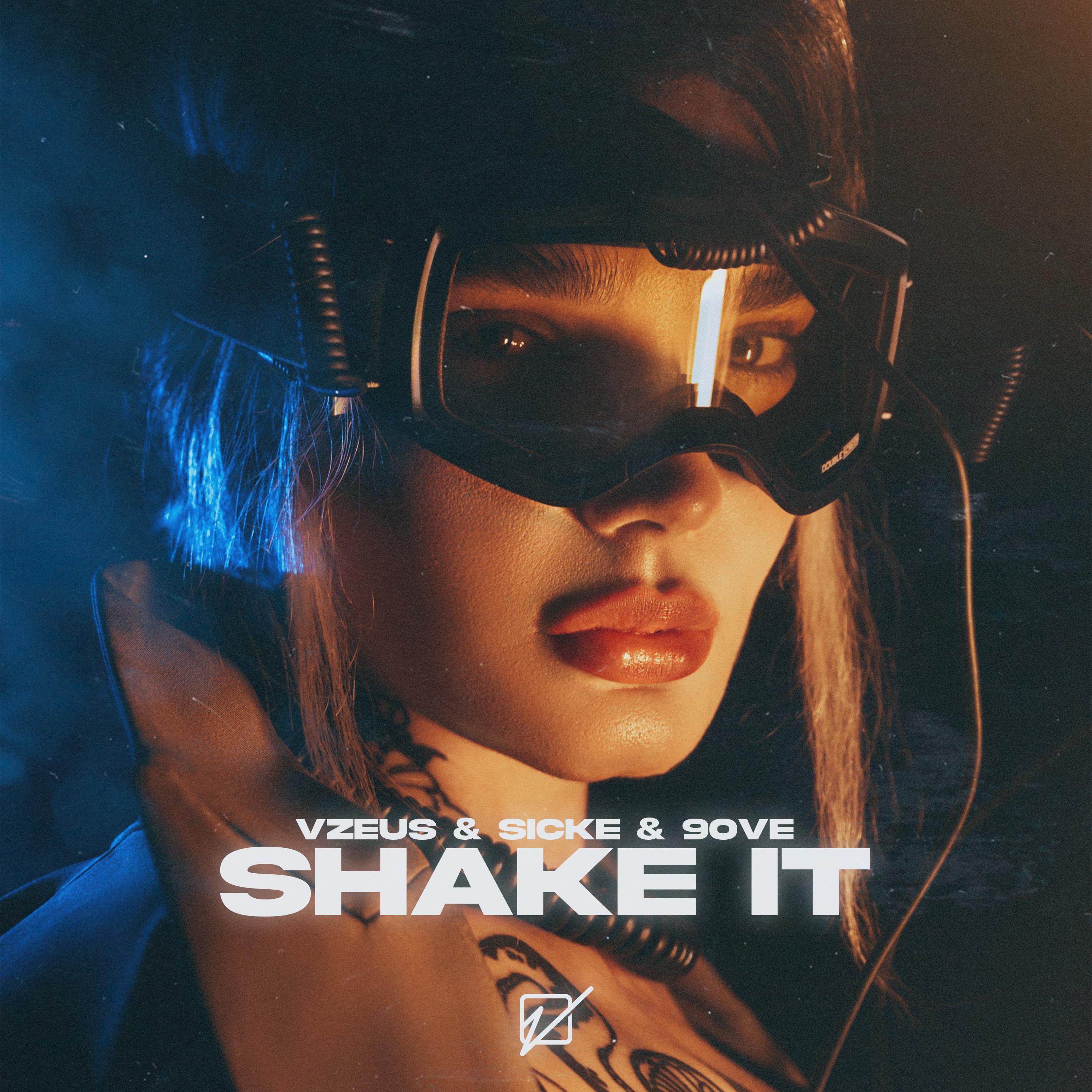 Постер альбома Shake It