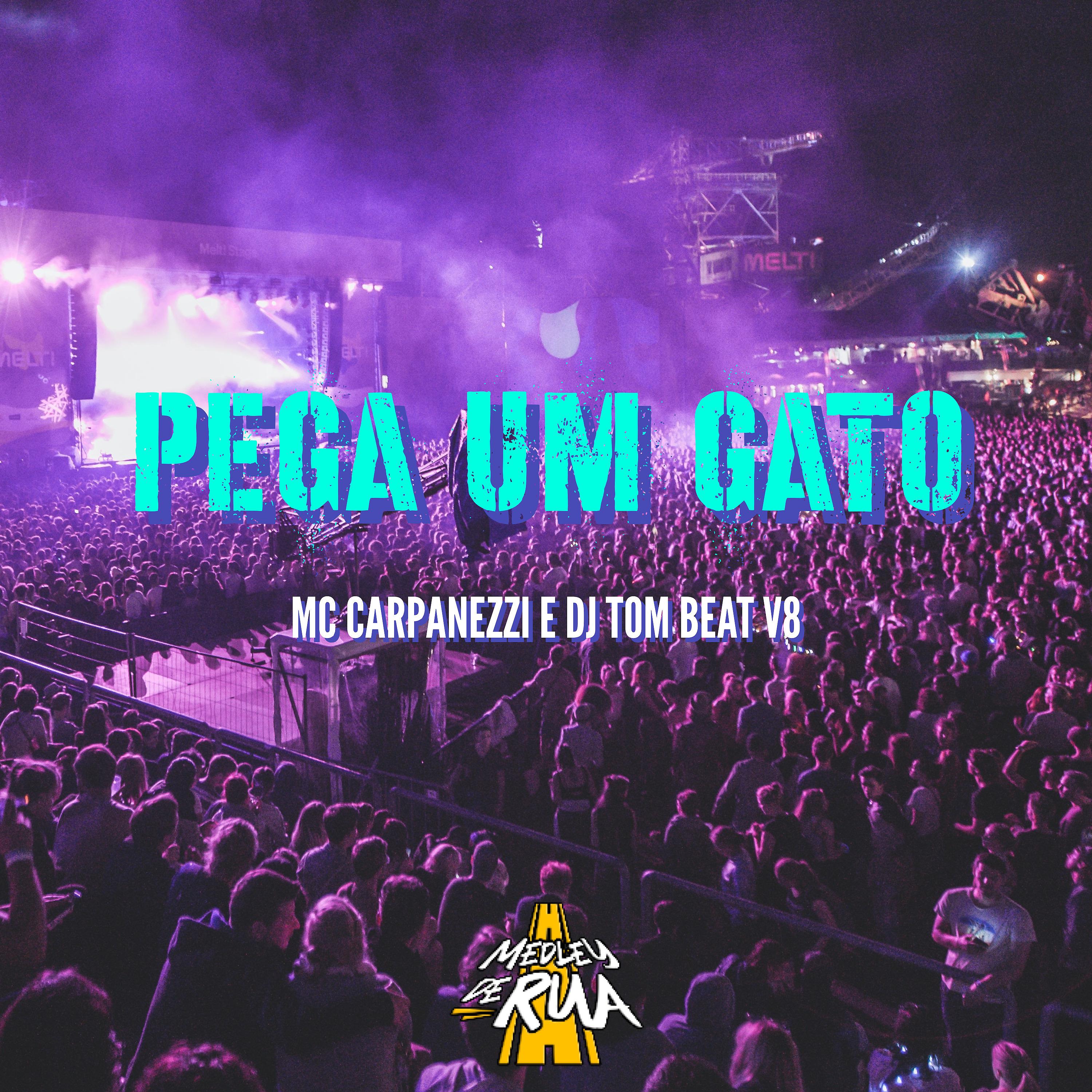 Постер альбома Pega um Gato