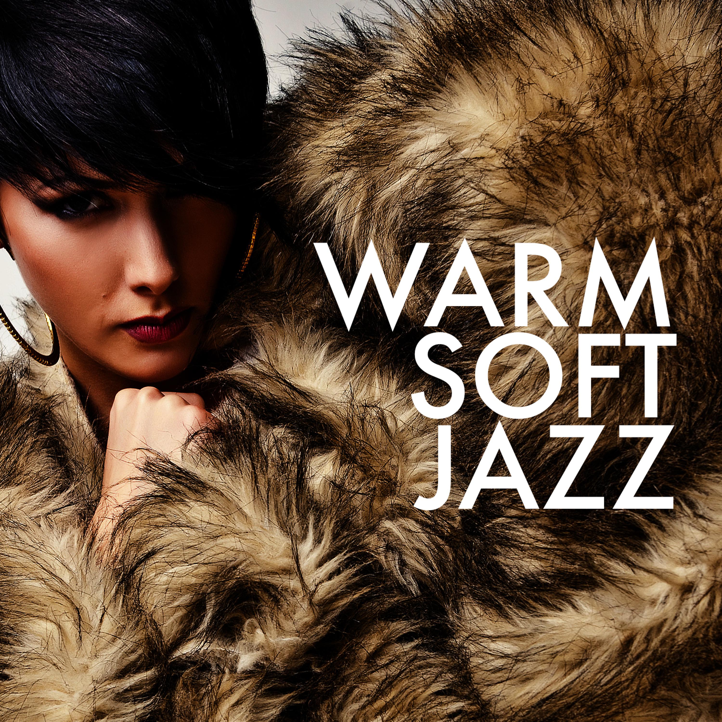 Постер альбома Warm Soft Jazz