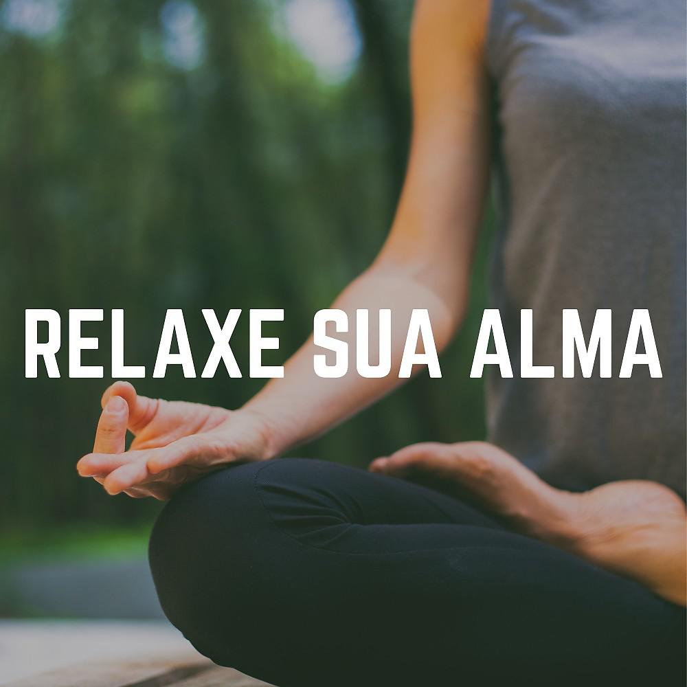 Постер альбома Relaxe Sua Alma