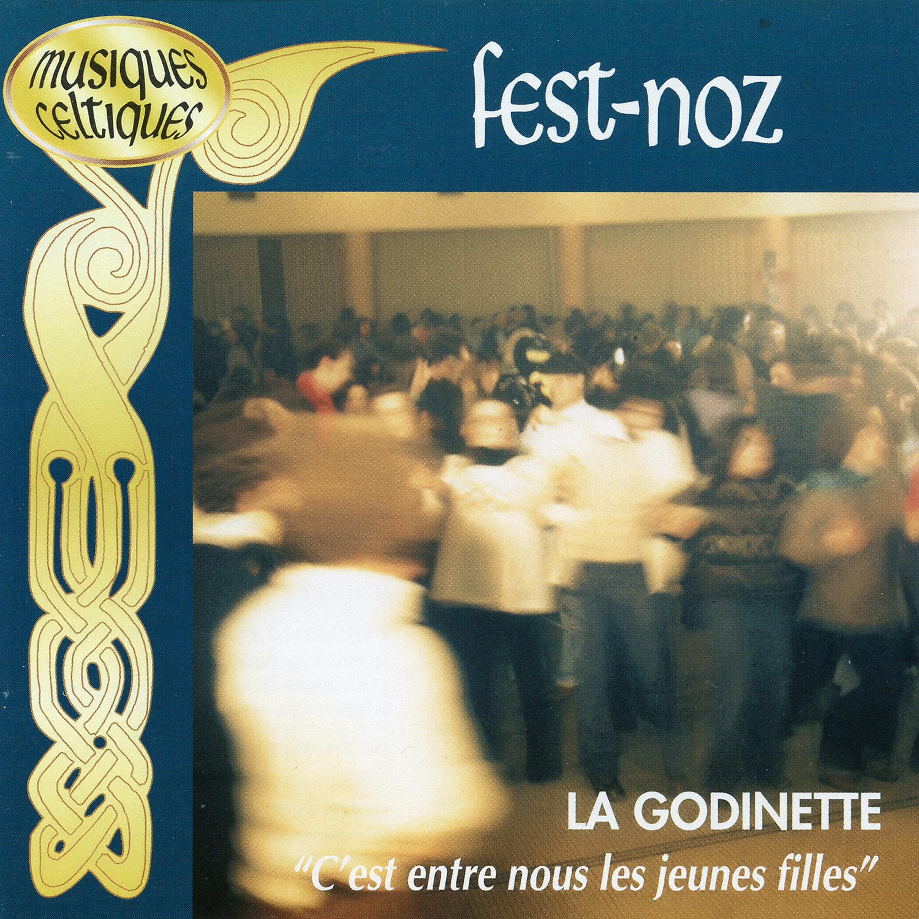 Постер альбома Fest Noz - Collection Musiques Celtiques