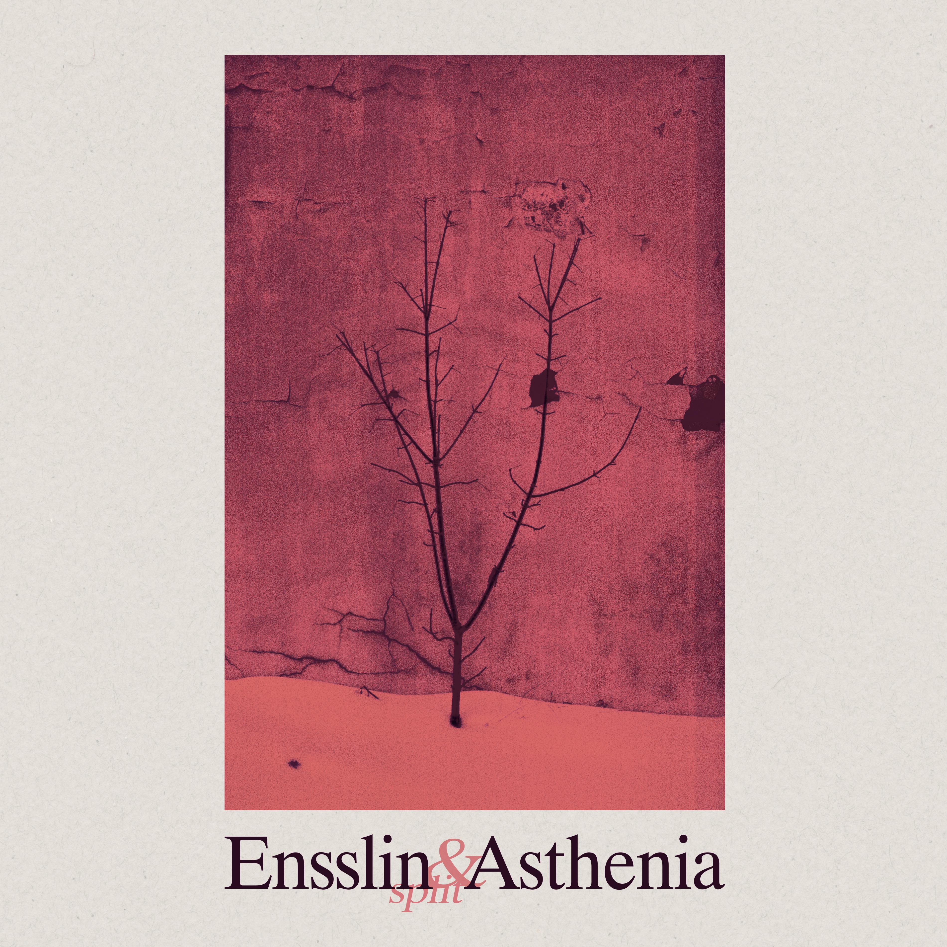 Постер альбома Split 7" with Asthenia