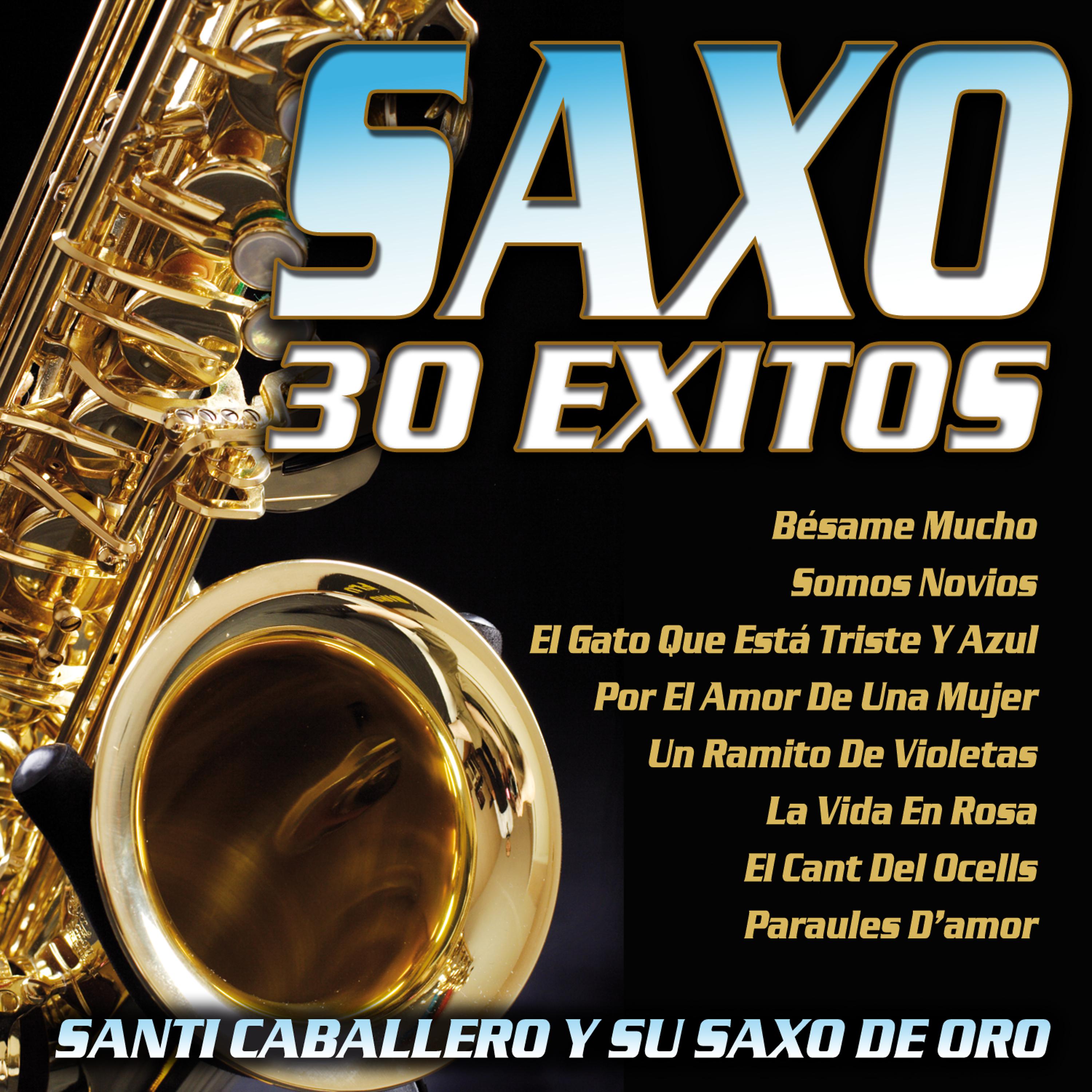 Постер альбома Saxo 30 Exitos