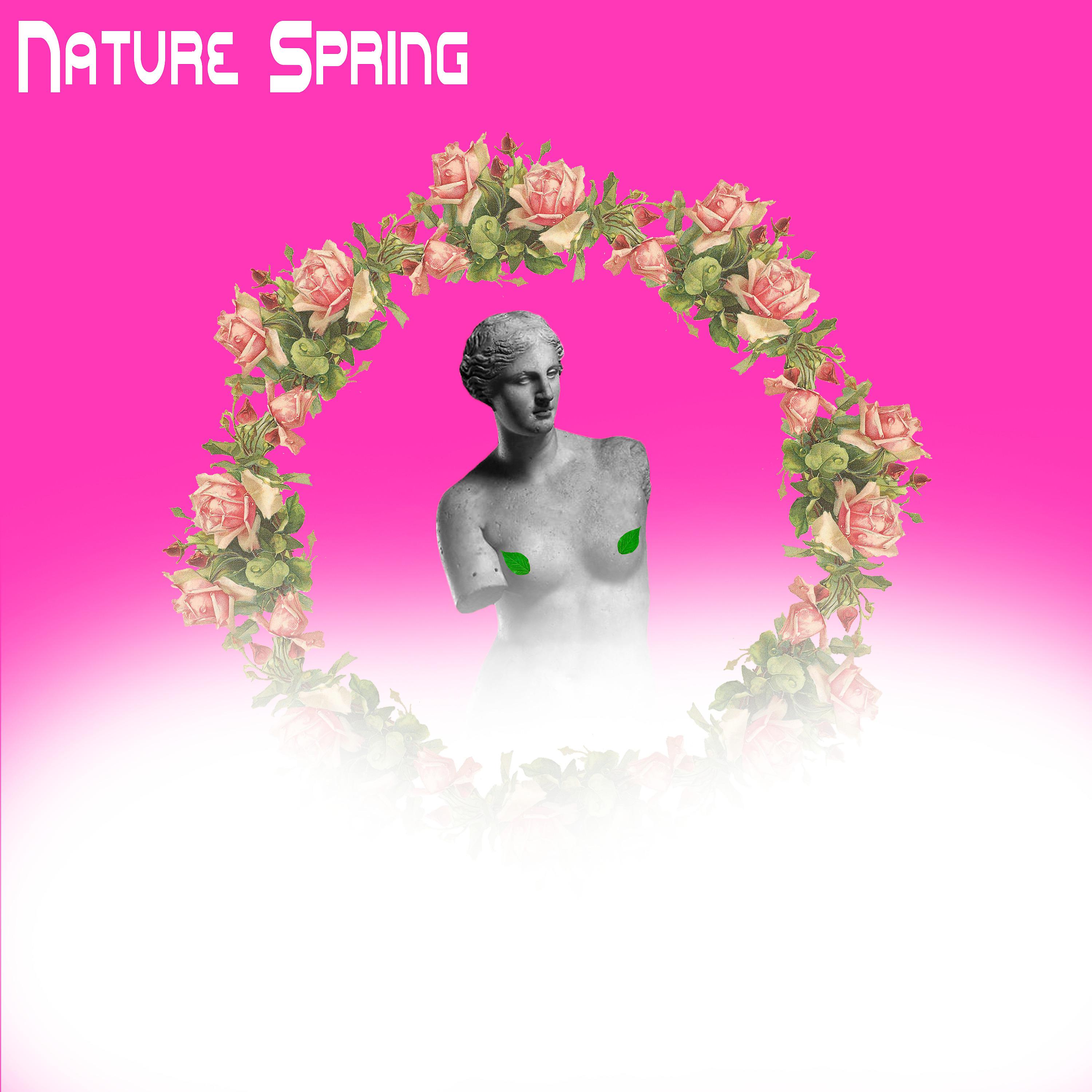 Постер альбома Nature Spring