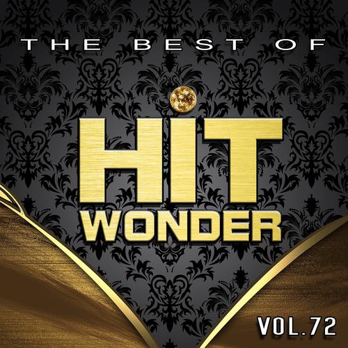 Постер альбома Hit Wonder: The Best Of, Vol. 72