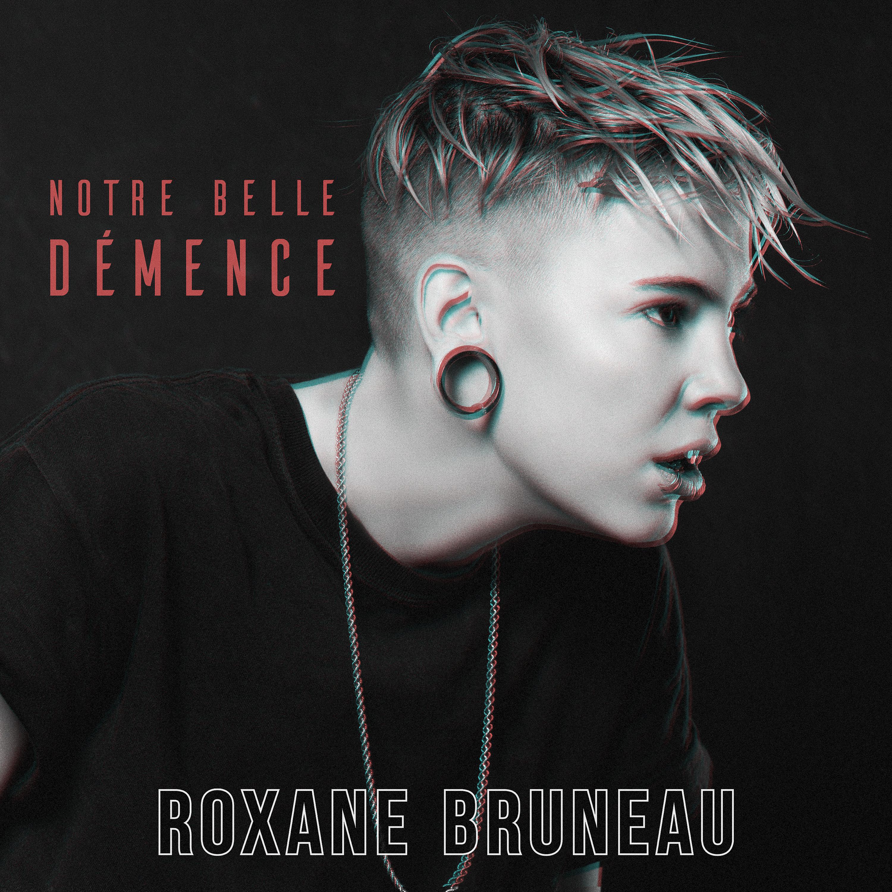 Постер альбома Notre belle démence (Version 2019)