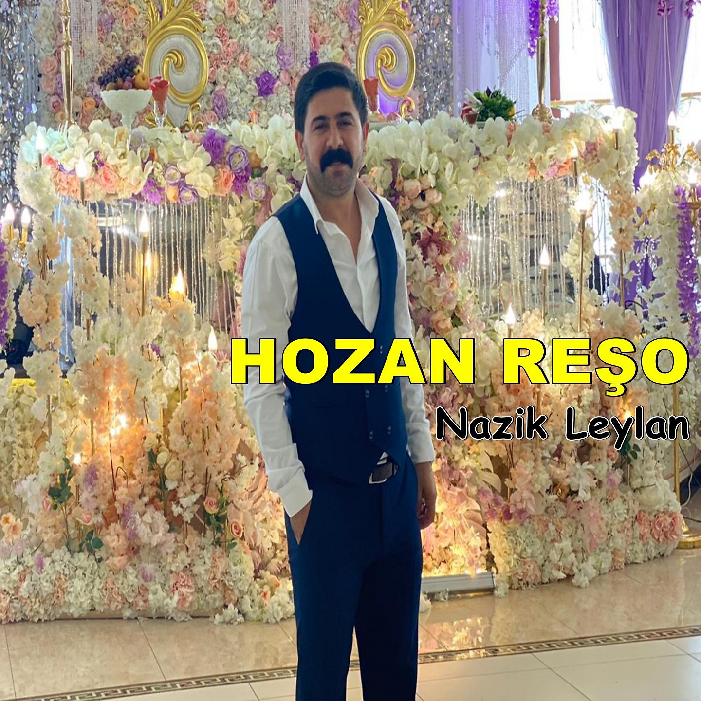 Постер альбома Nazik Leylan
