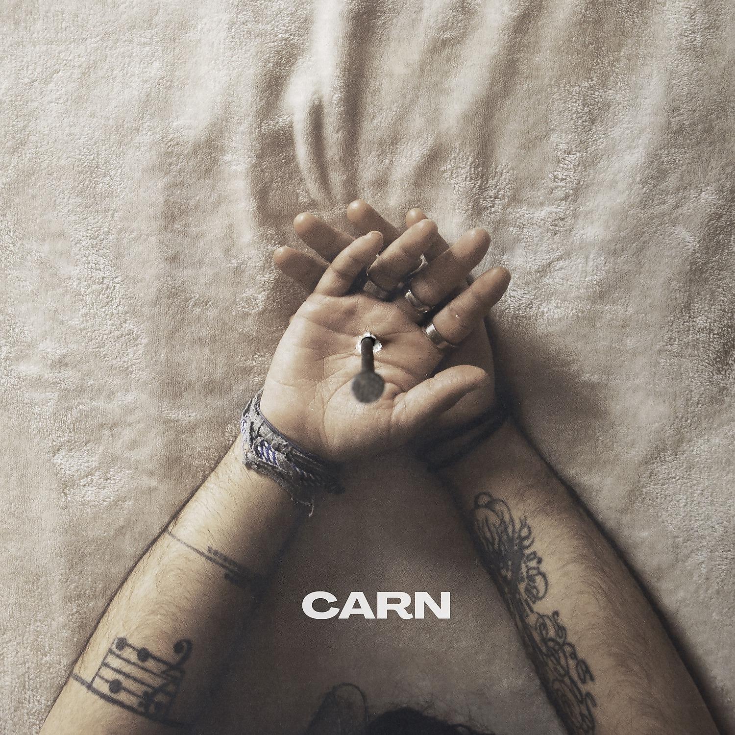 Постер альбома Carn