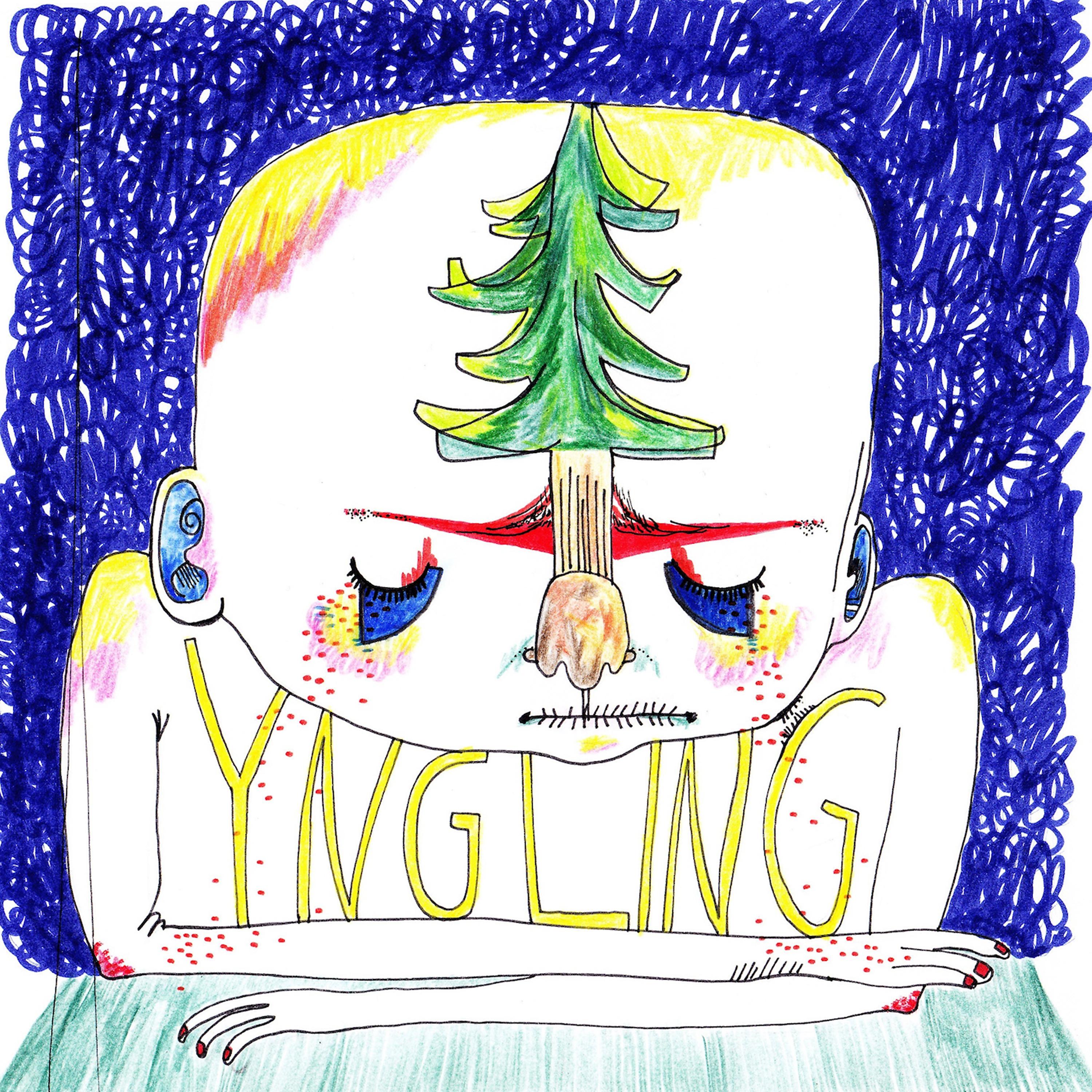 Постер альбома Yngling