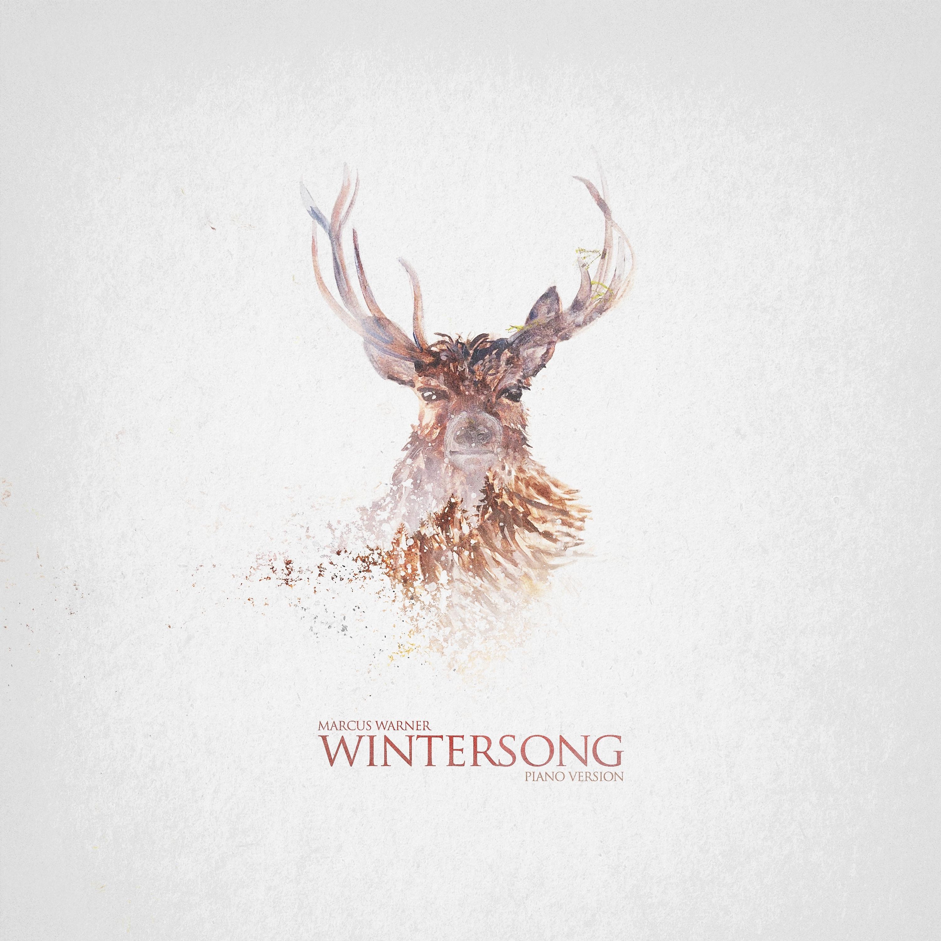 Постер альбома Wintersong (Piano Version)