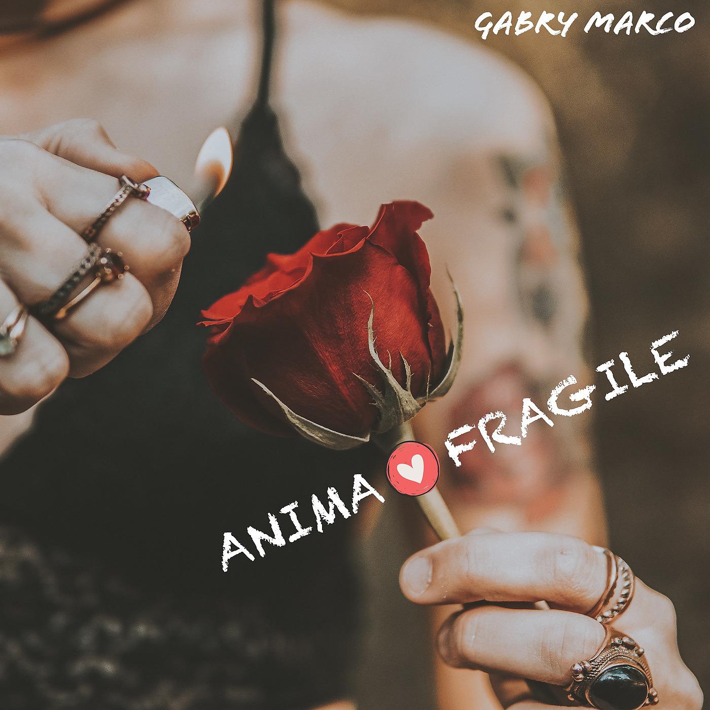 Постер альбома Anima fragile