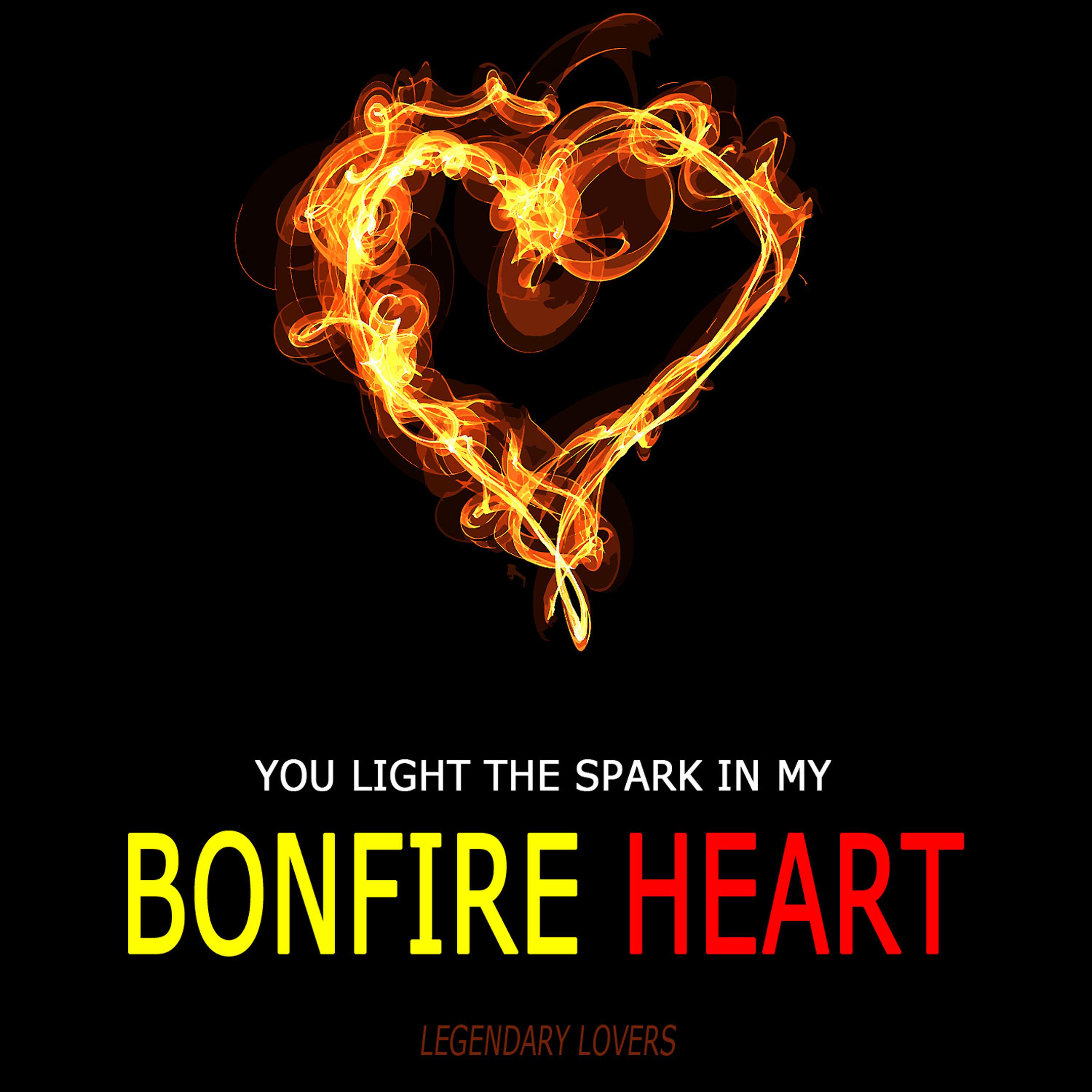 Постер альбома You Light the Spark in My Bonfire Heart