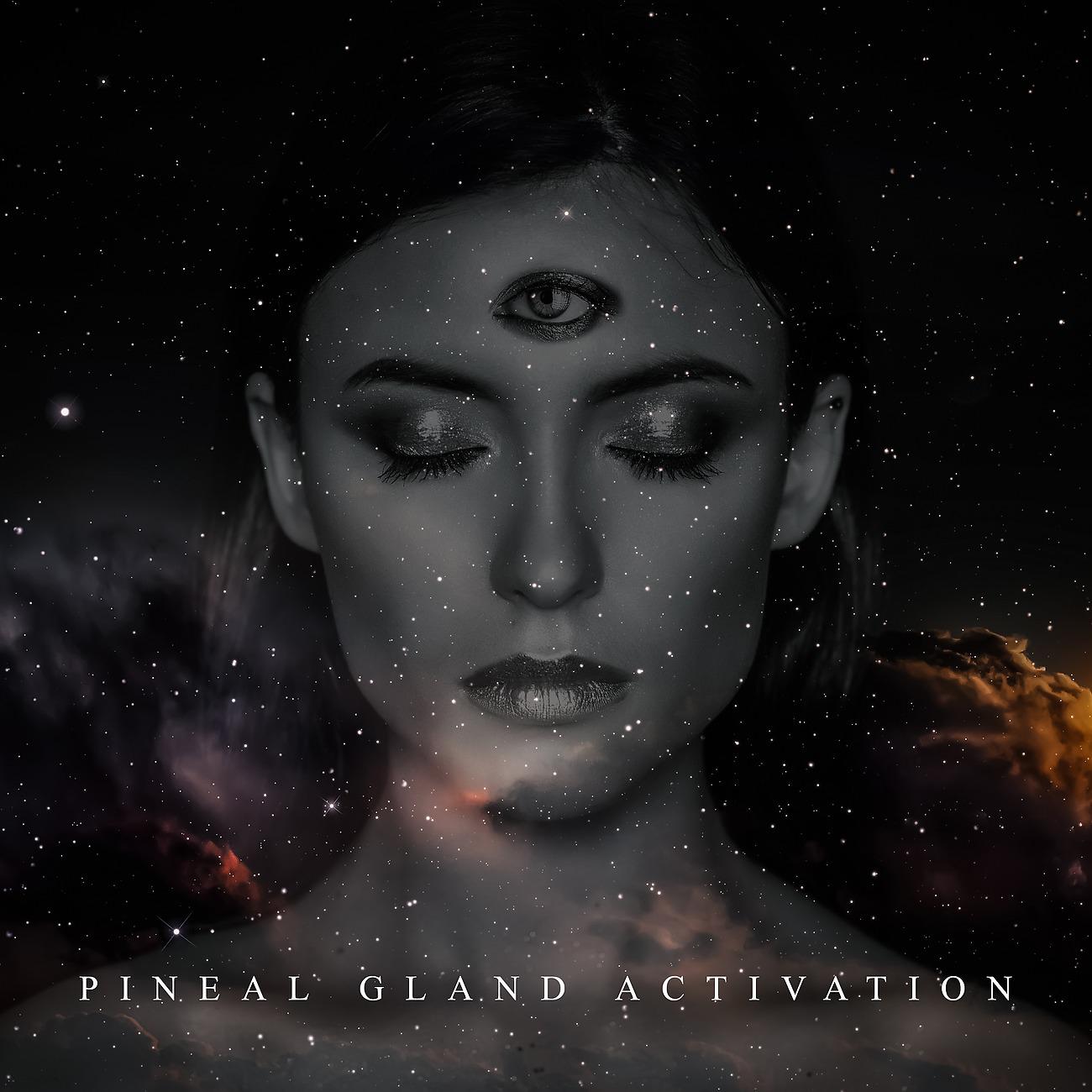 Постер альбома Pineal Gland Activation