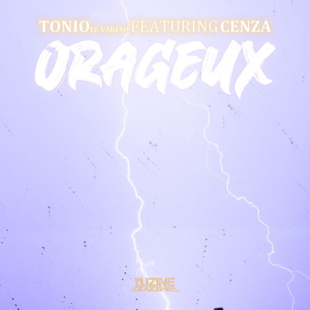 Постер альбома Orageux