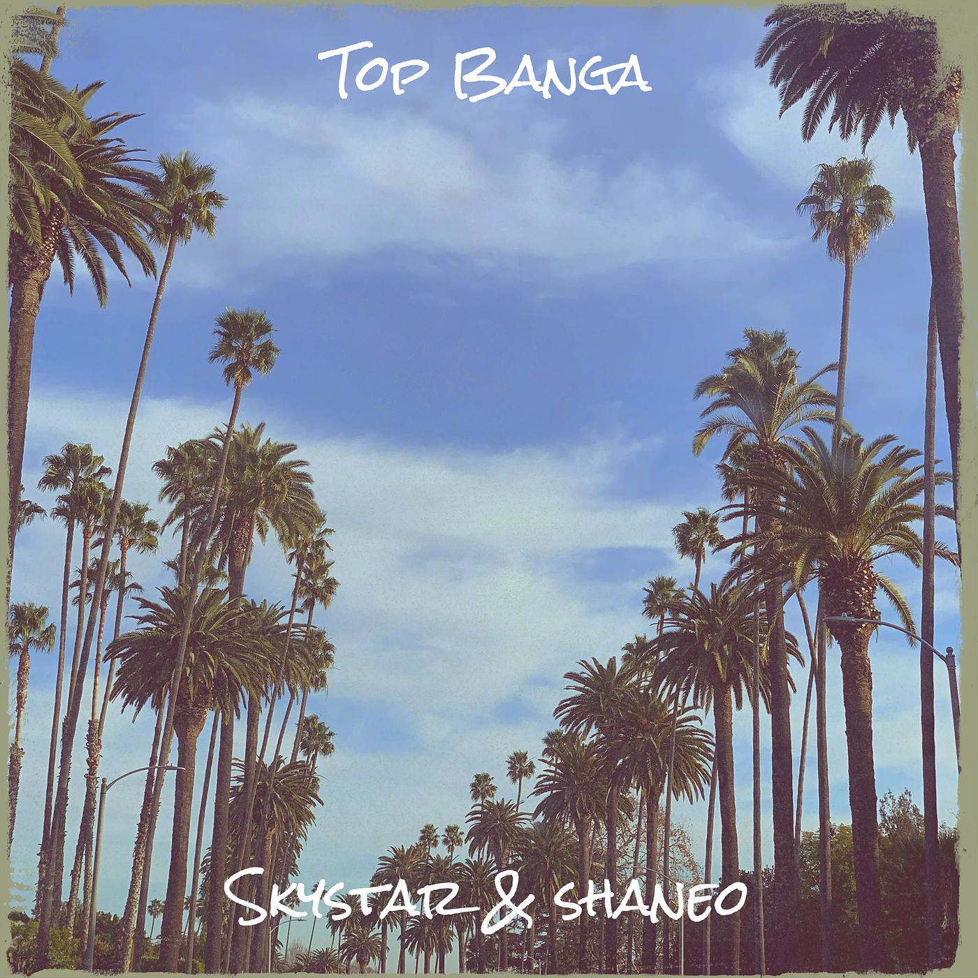 Постер альбома Top Banga