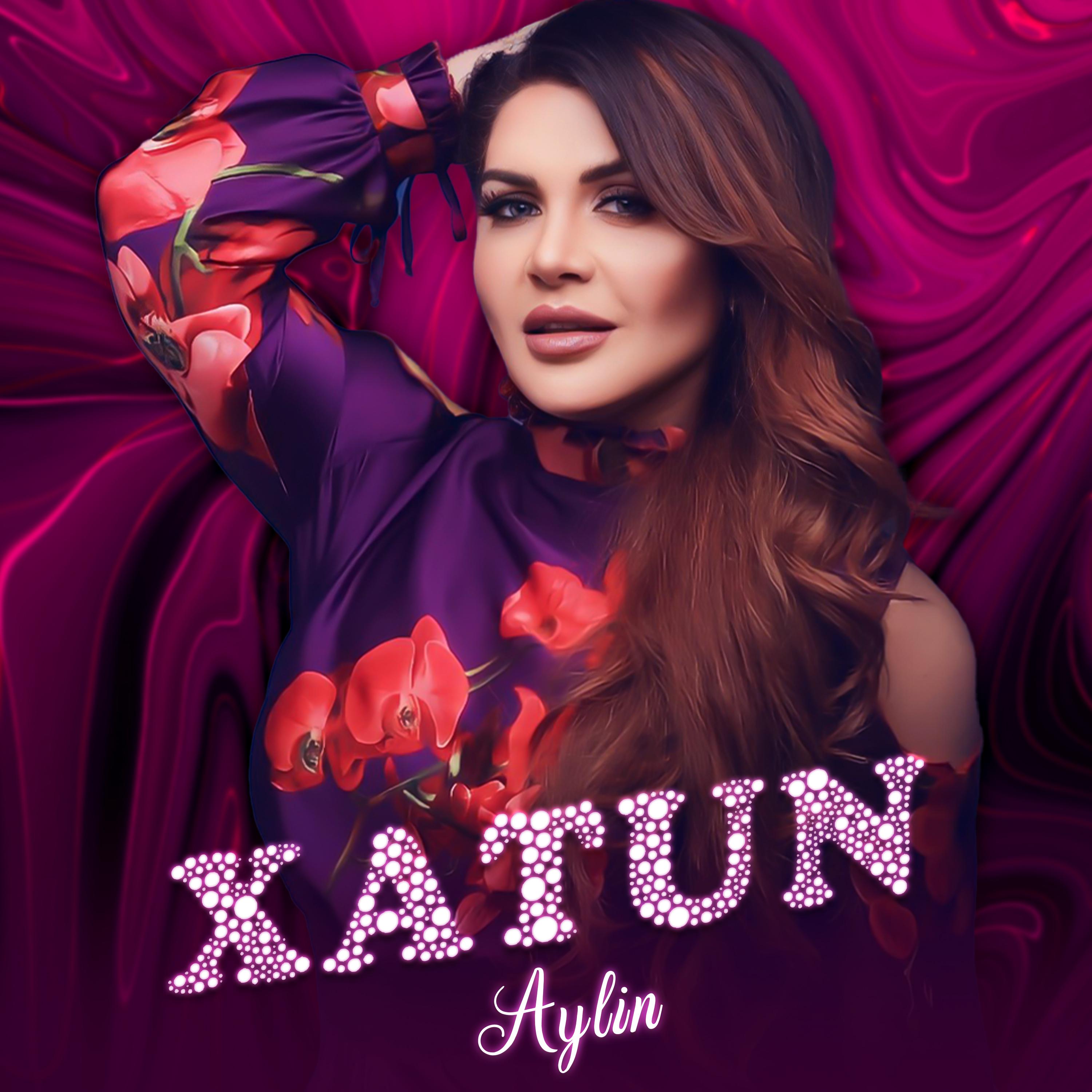 Постер альбома Aylin