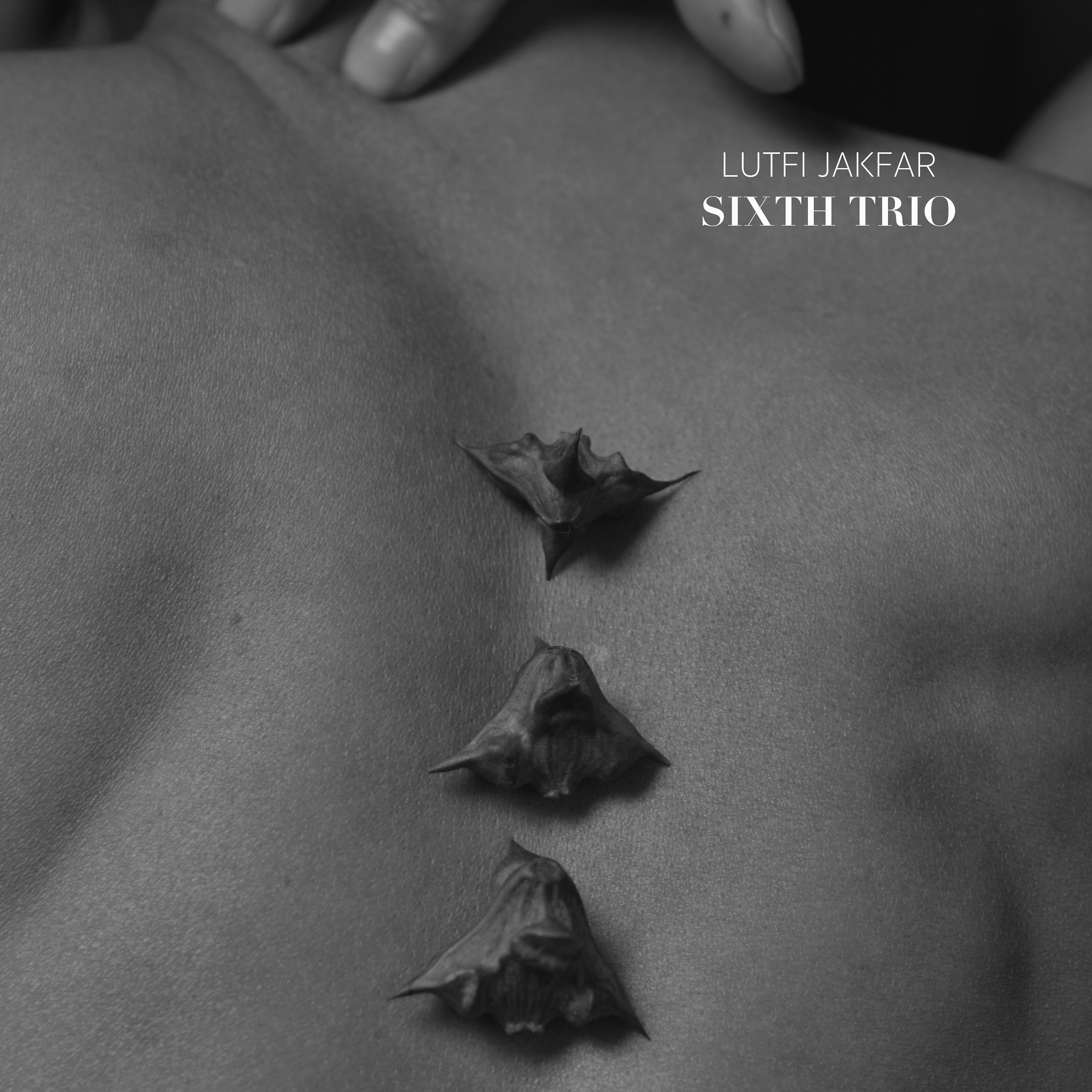 Постер альбома Sixth Trio