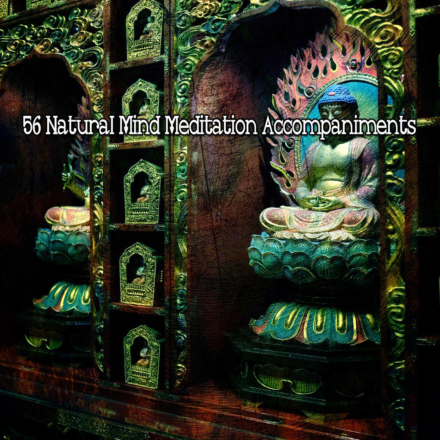 Постер альбома 56 сопровождений для медитации естественного разума