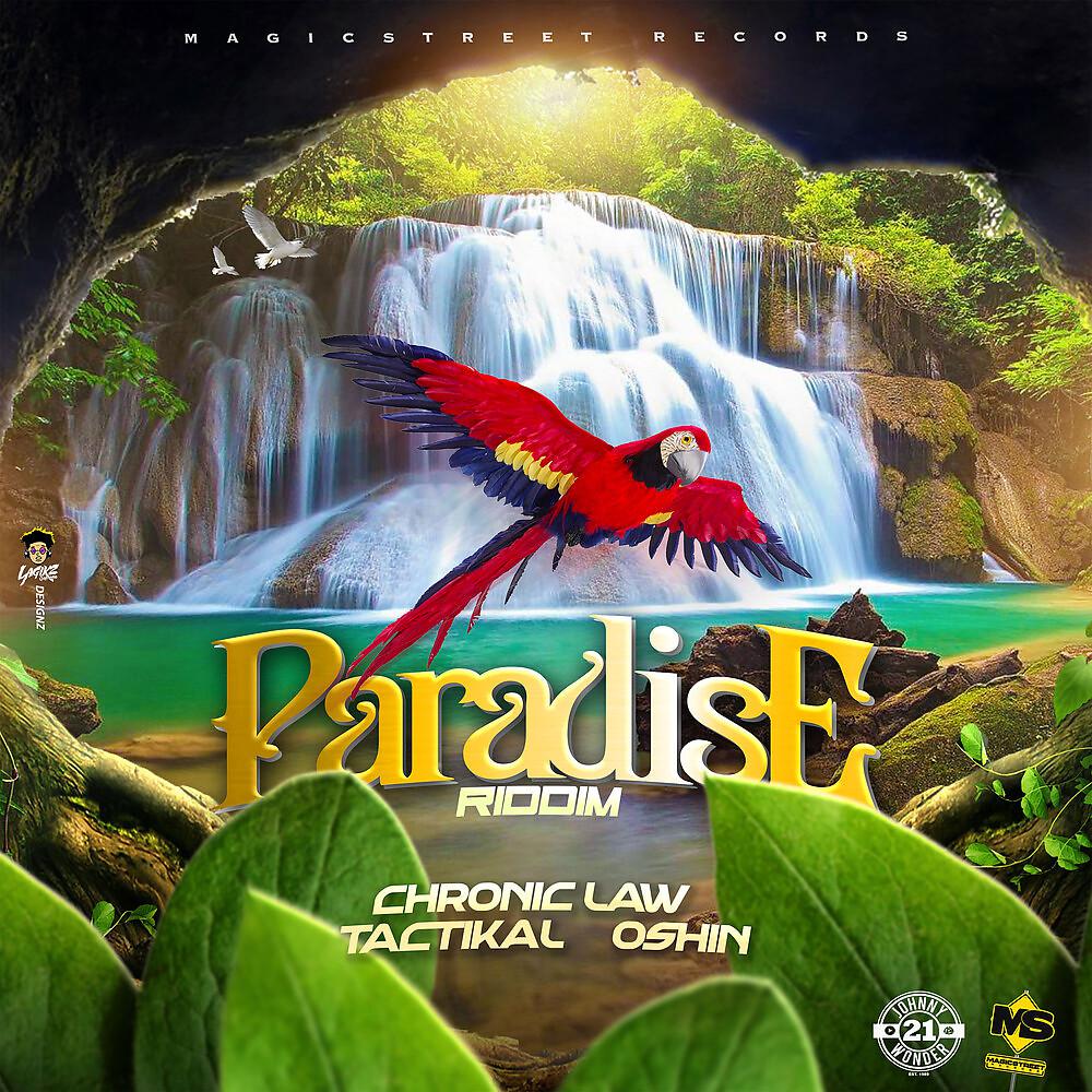 Постер альбома Paradise Riddim