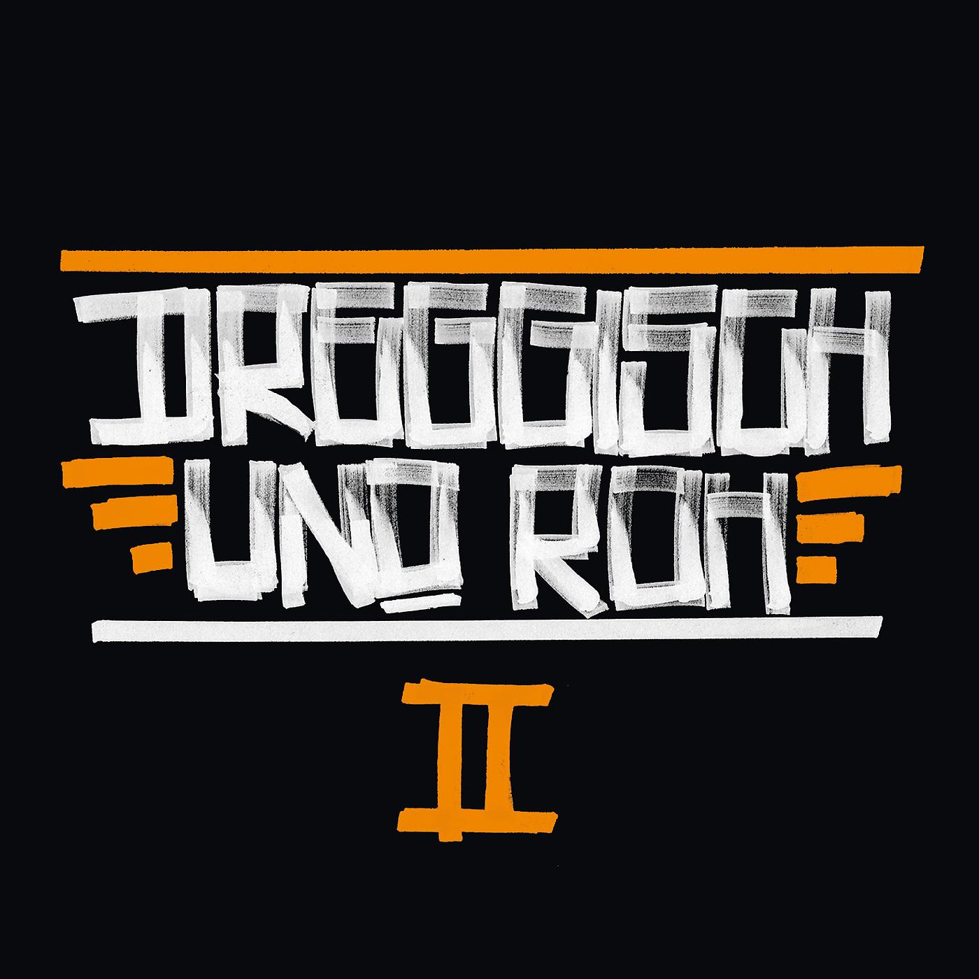 Постер альбома Dreggisch und roh 2