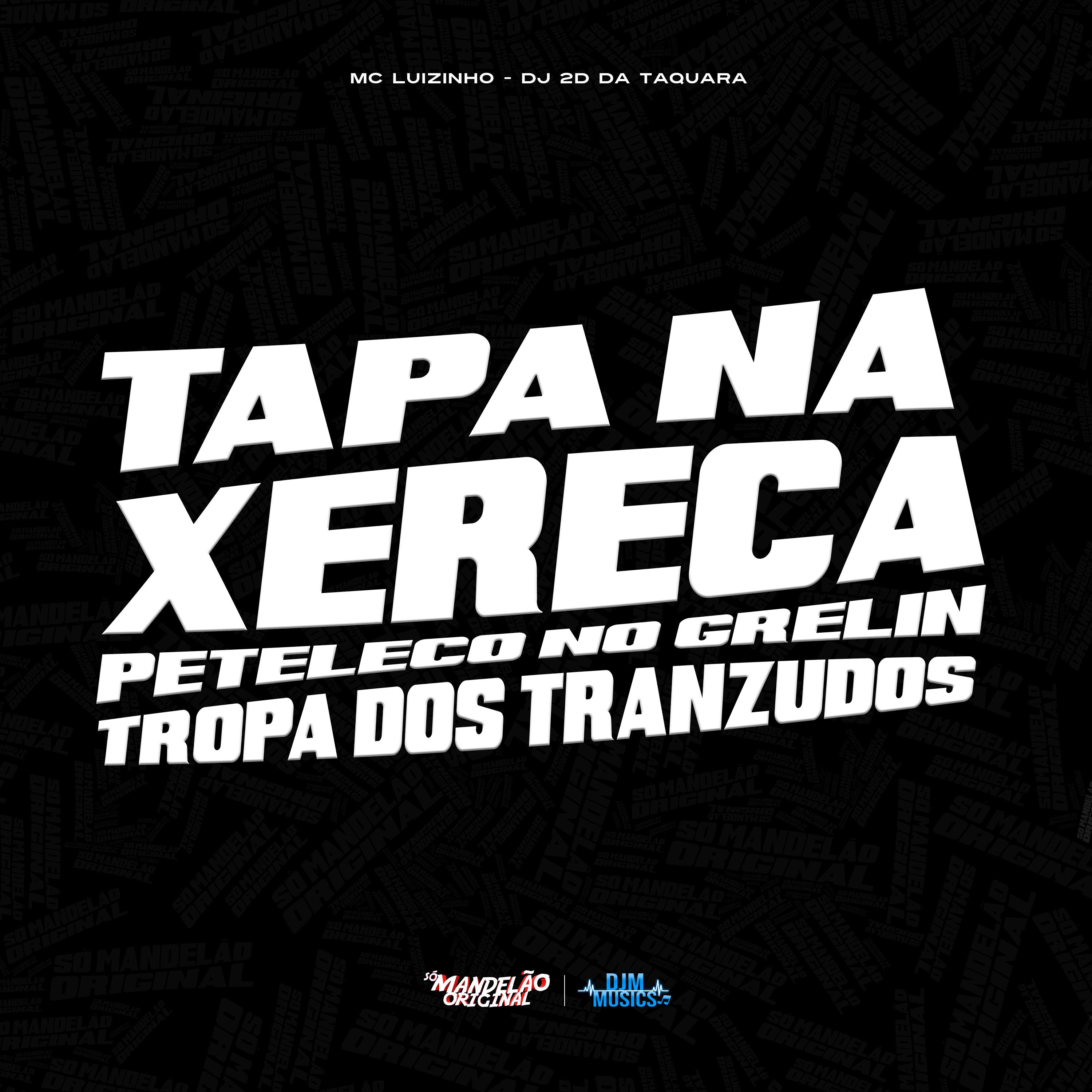 Постер альбома Tapa na Xereca Peteleco no Grelin Vs Tropa dos Tranzudos