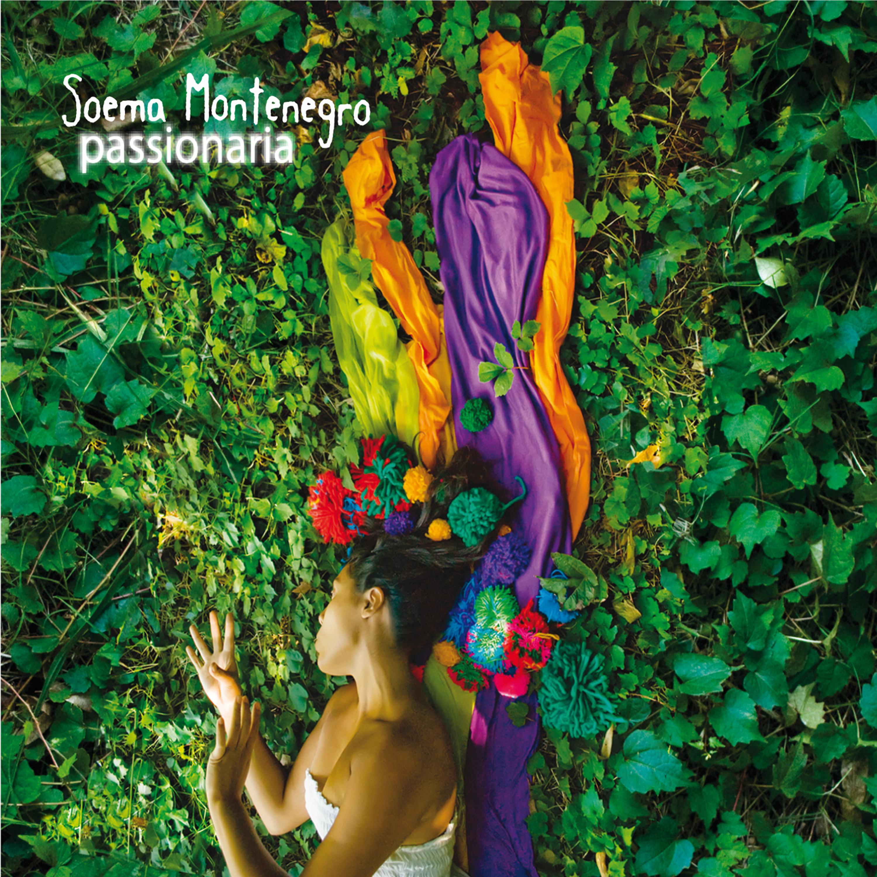 Постер альбома Passionaria