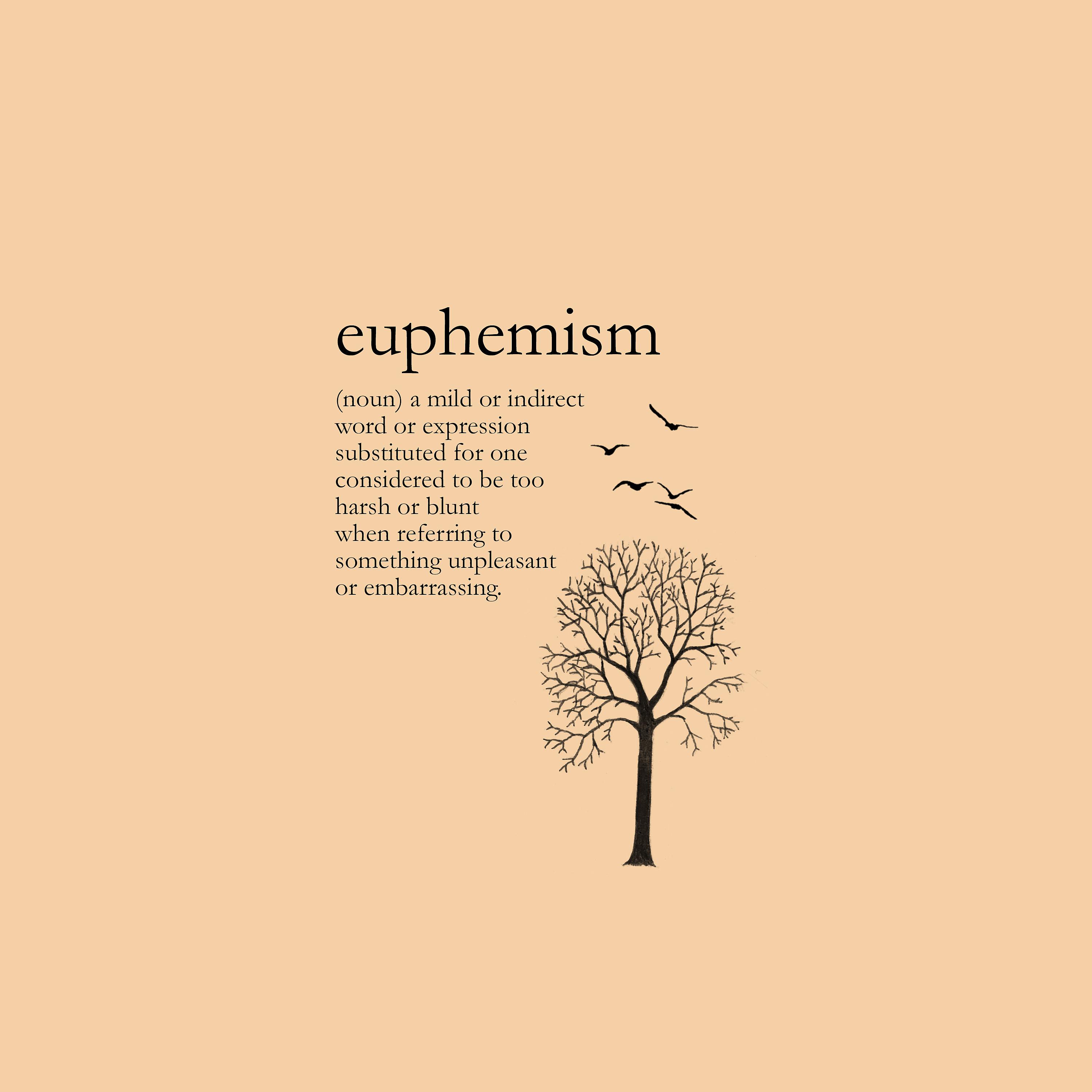 Постер альбома Euphemism