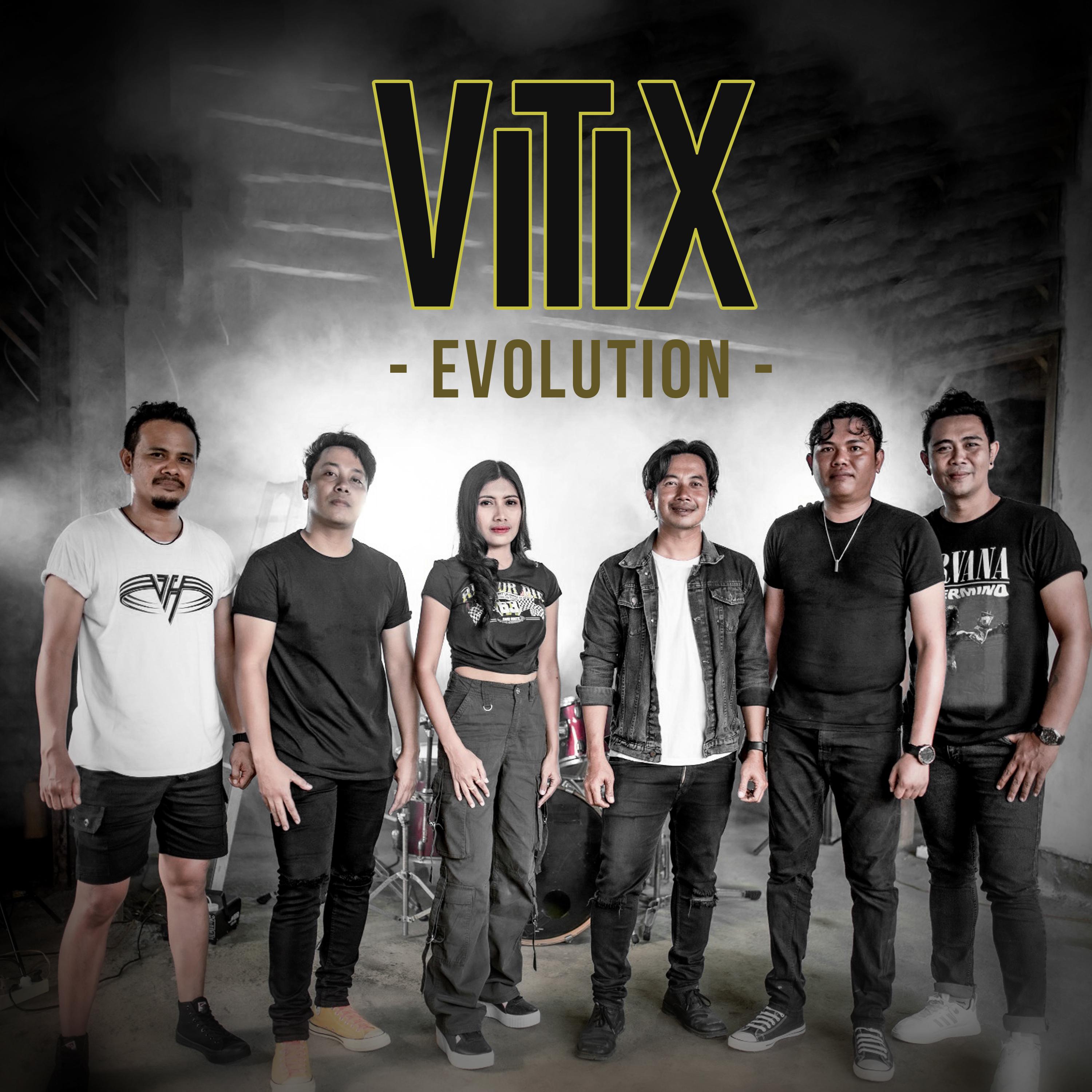 Постер альбома Vitix Evolution