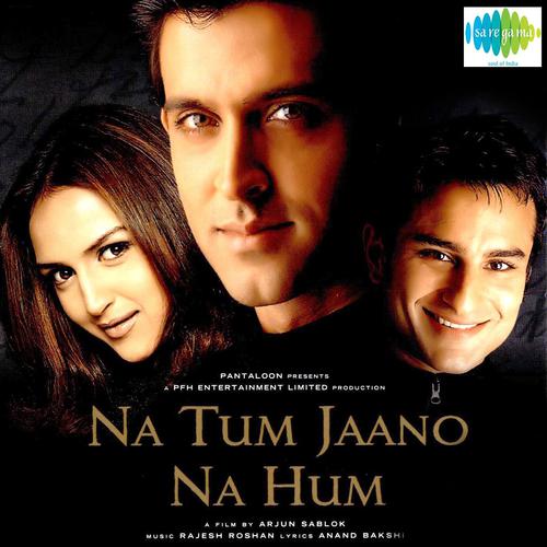 Постер альбома Na Tum Jaano Na Hum (Original Motion Picture Soundtrack)