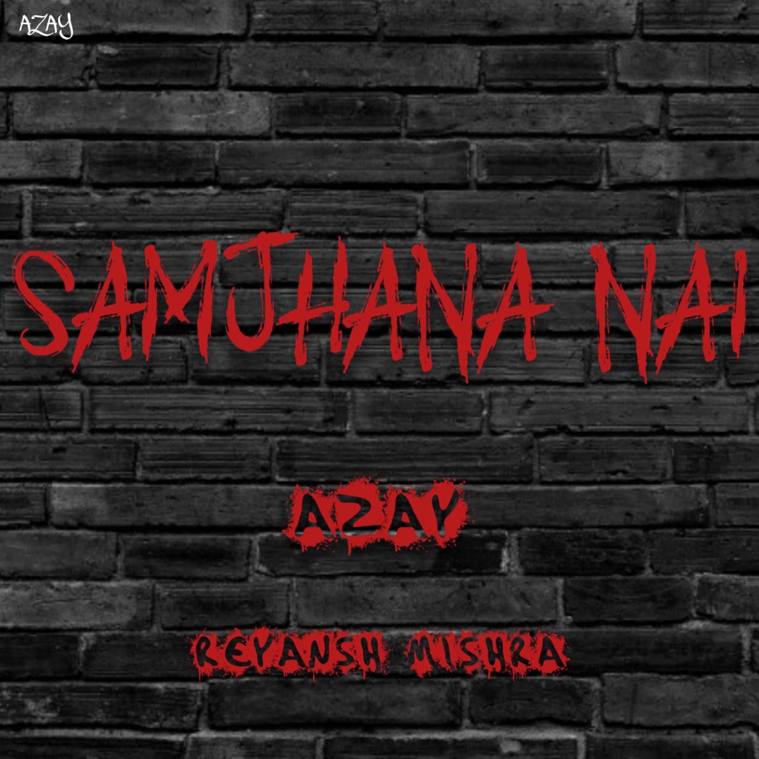 Постер альбома Samjhana nai (Underground)