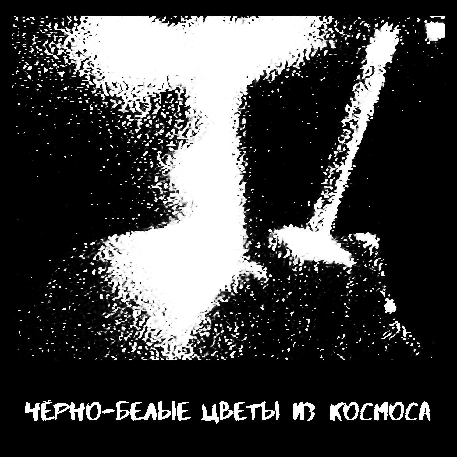 Постер альбома Черно-белые цветы из космоса