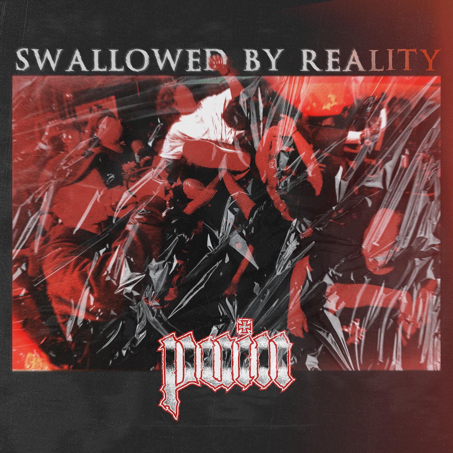 Постер альбома Swallowed By Reality