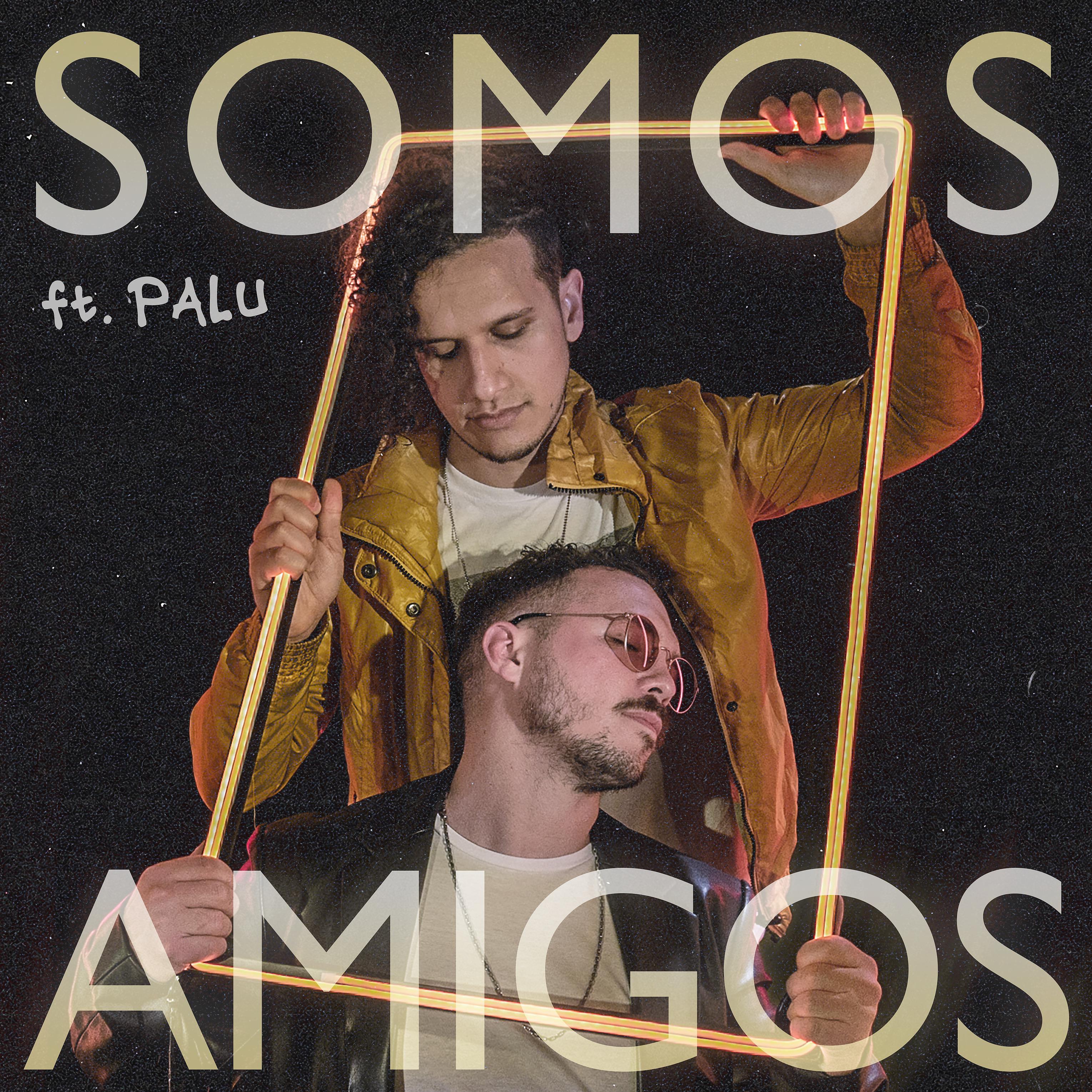 Постер альбома Somos Amigos