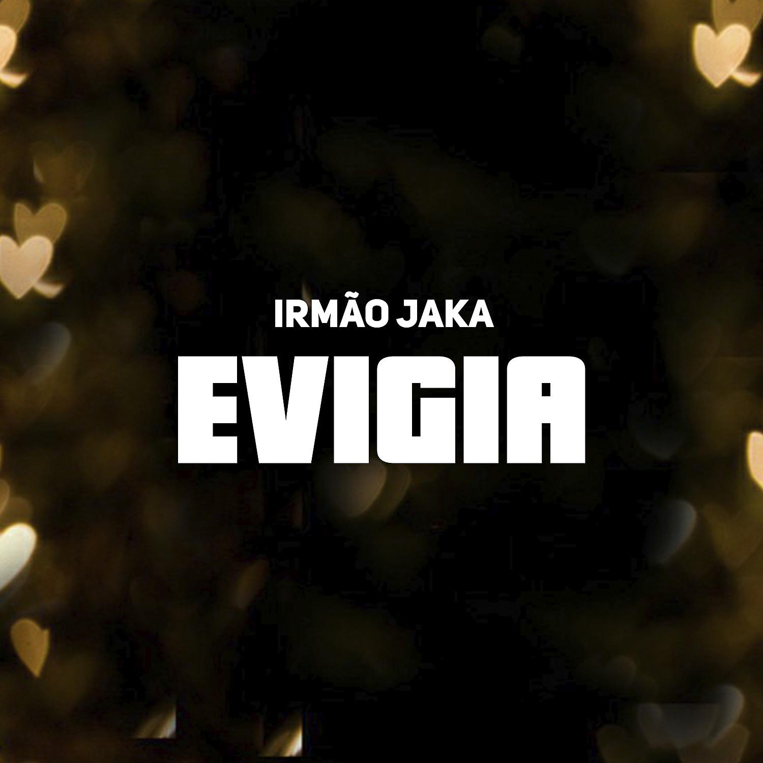 Постер альбома Evigia