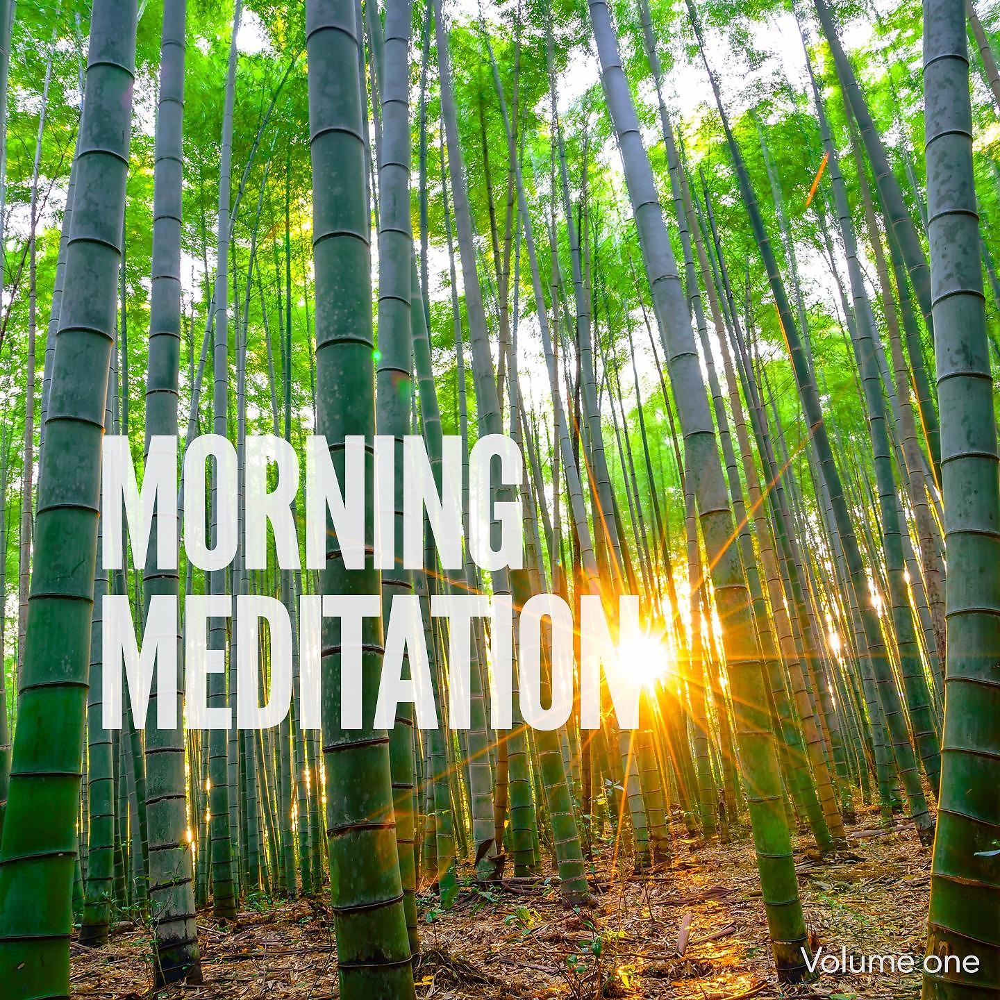 Постер альбома Morning Meditation, Vol. 1