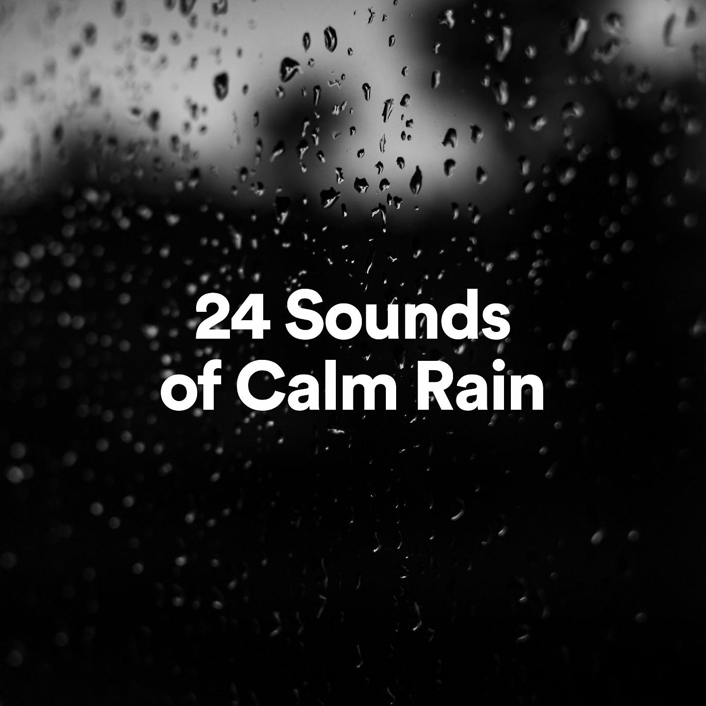 Постер альбома 24 Sounds of Calm Rain