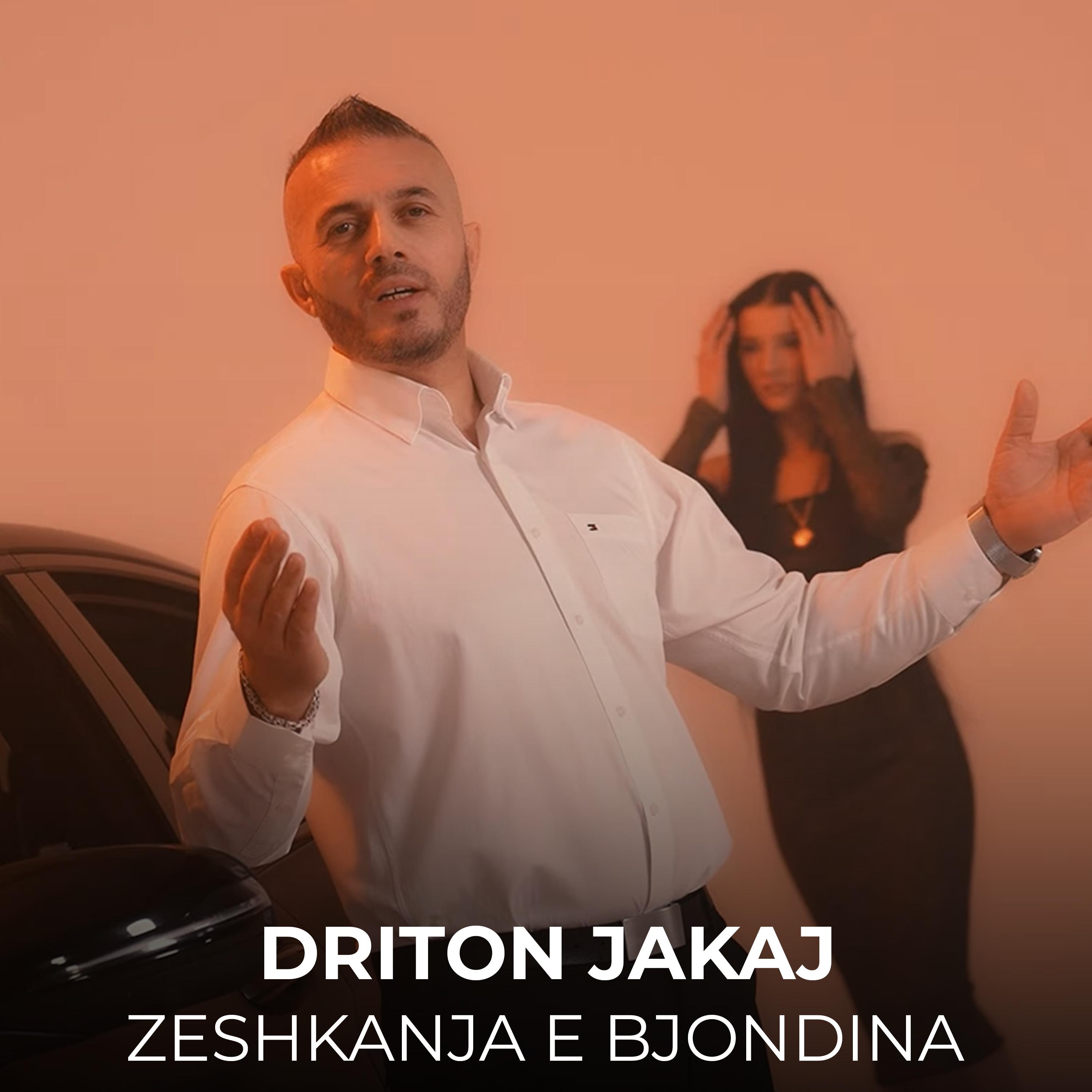 Постер альбома Zeshkanja e Bjondina