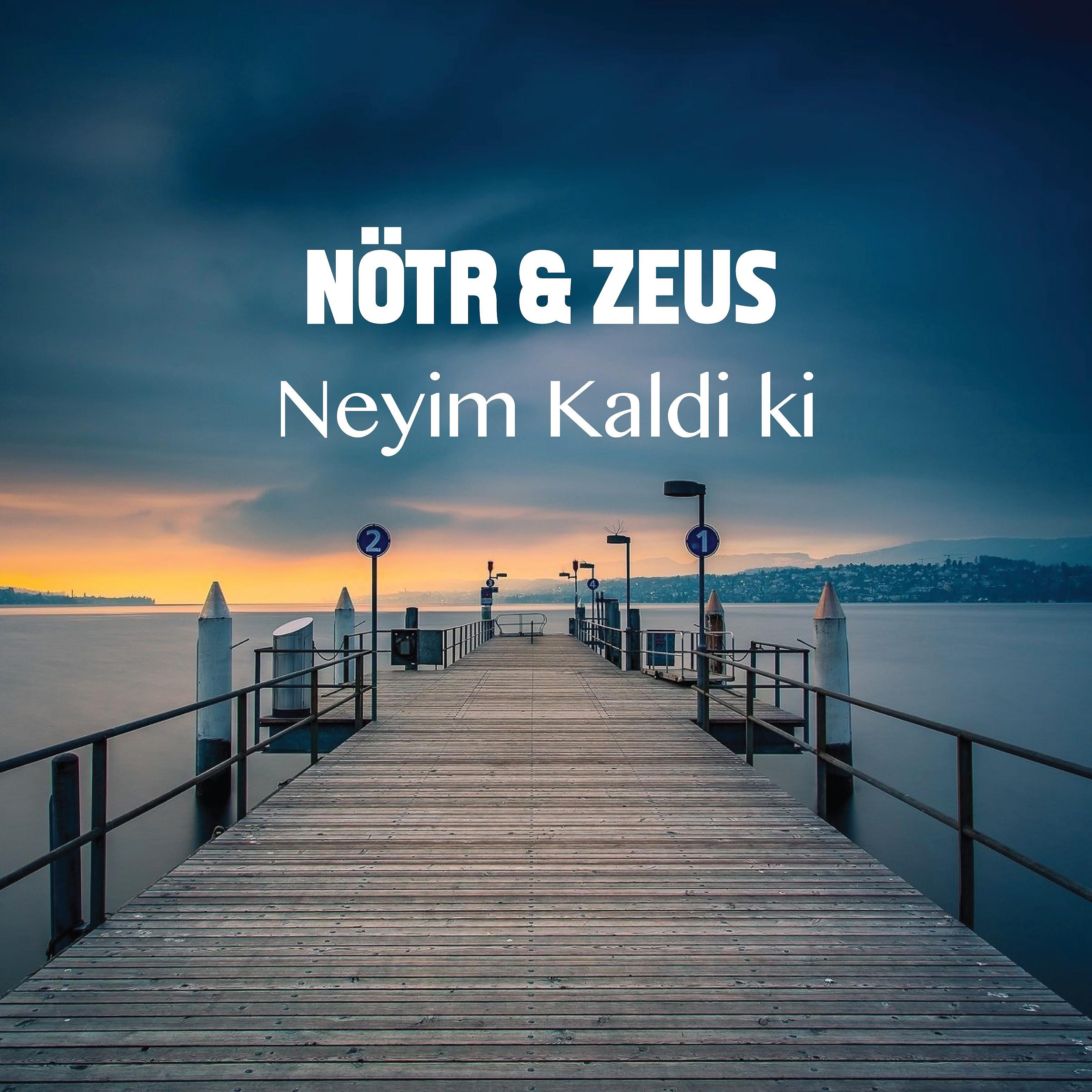 Постер альбома Neyim Kaldı Ki