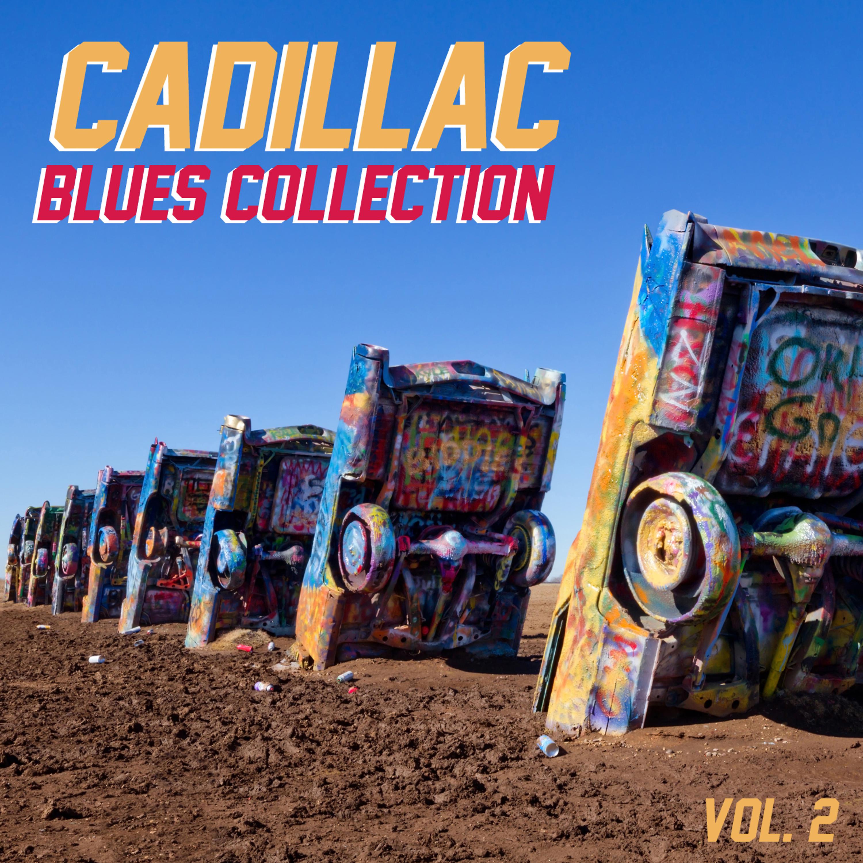 Постер альбома Cadillac Blues Collection, Vol. 2