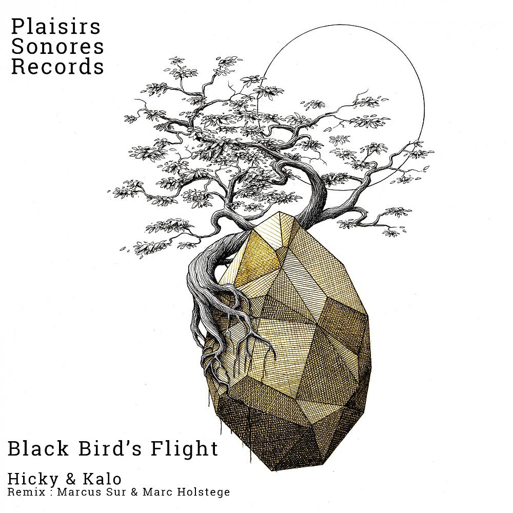 Постер альбома Black Bird's Flight EP